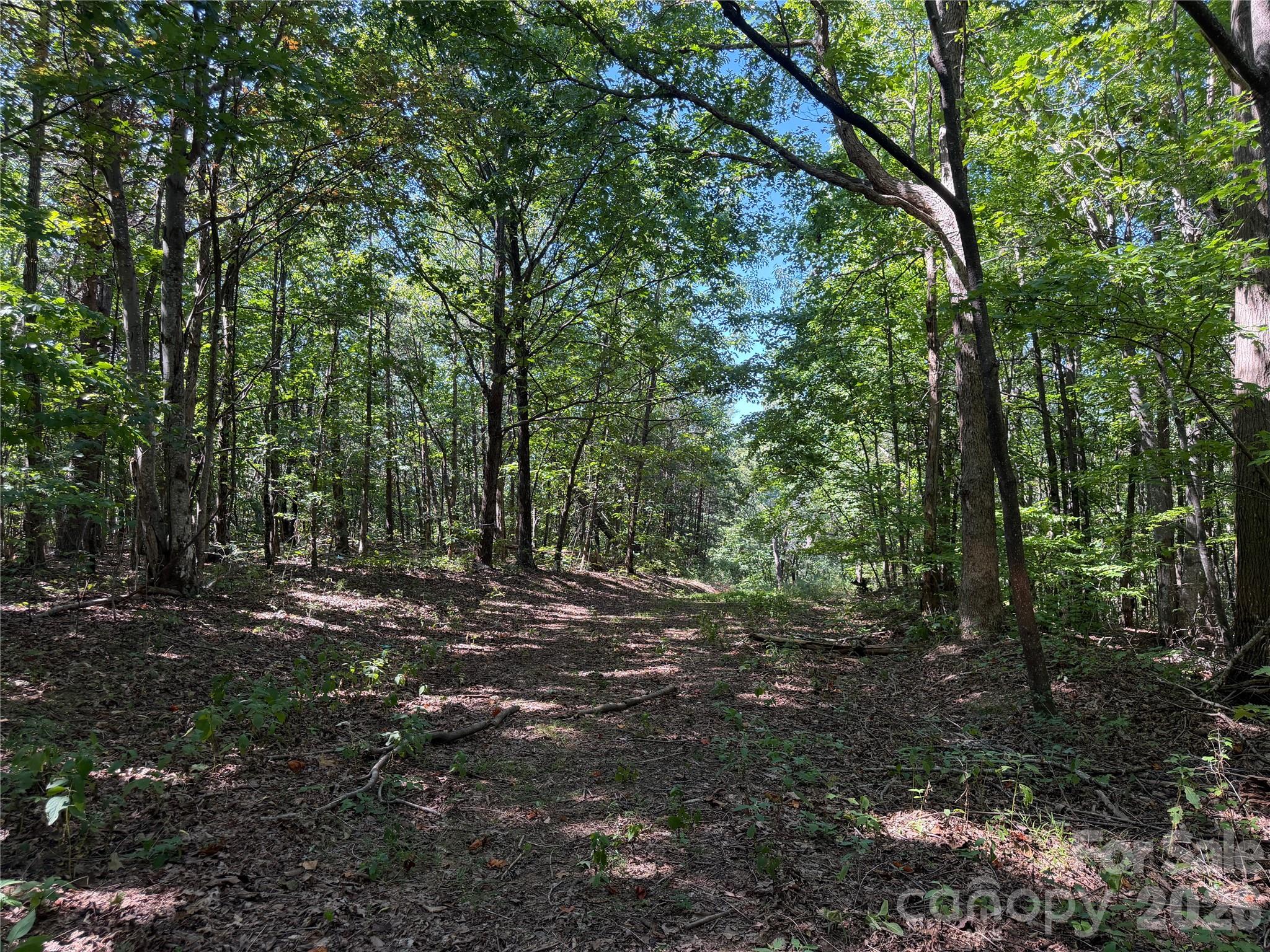 00 Camp Knob Road Property Photo 25