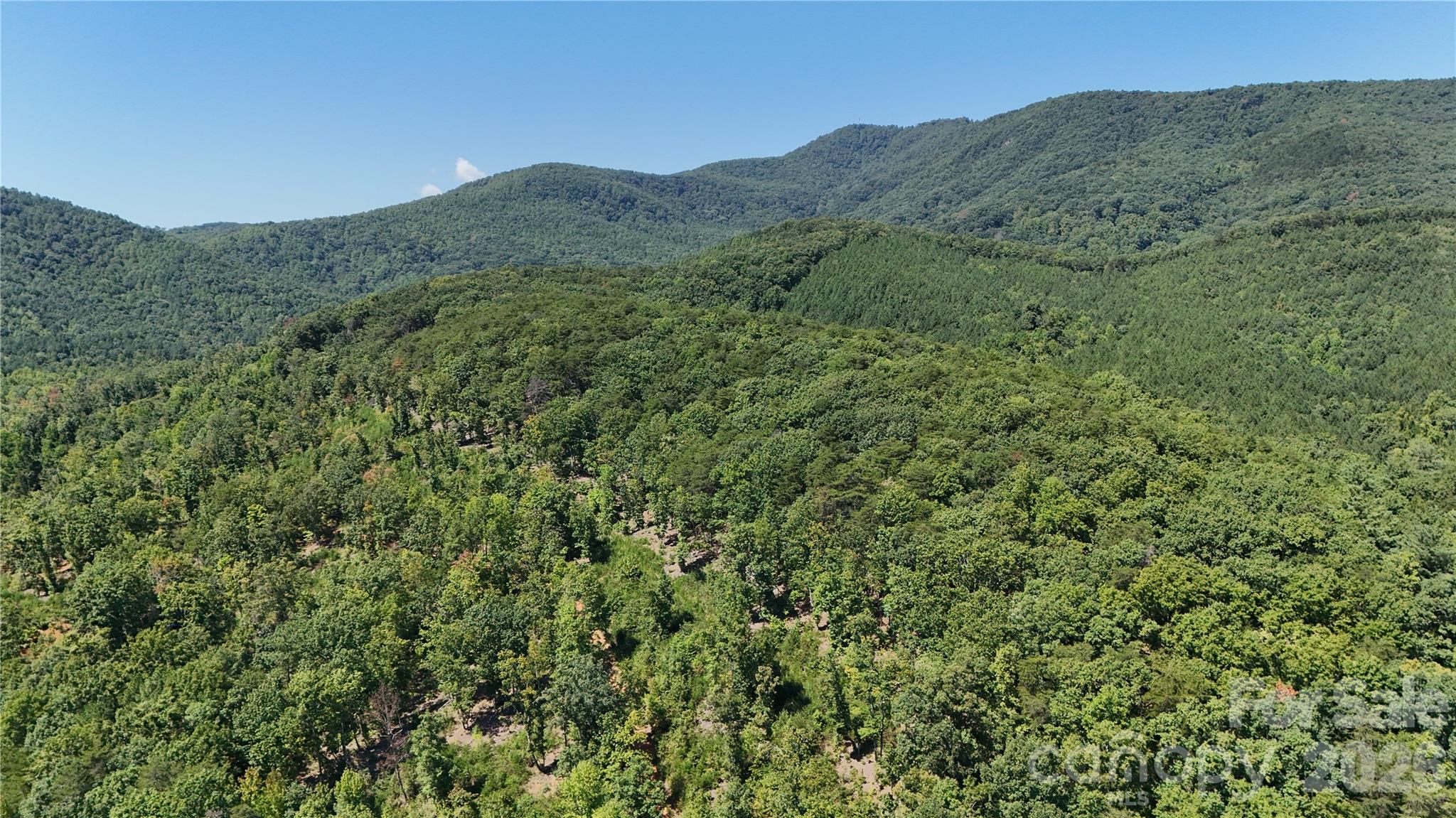 00 Camp Knob Road Property Photo 26