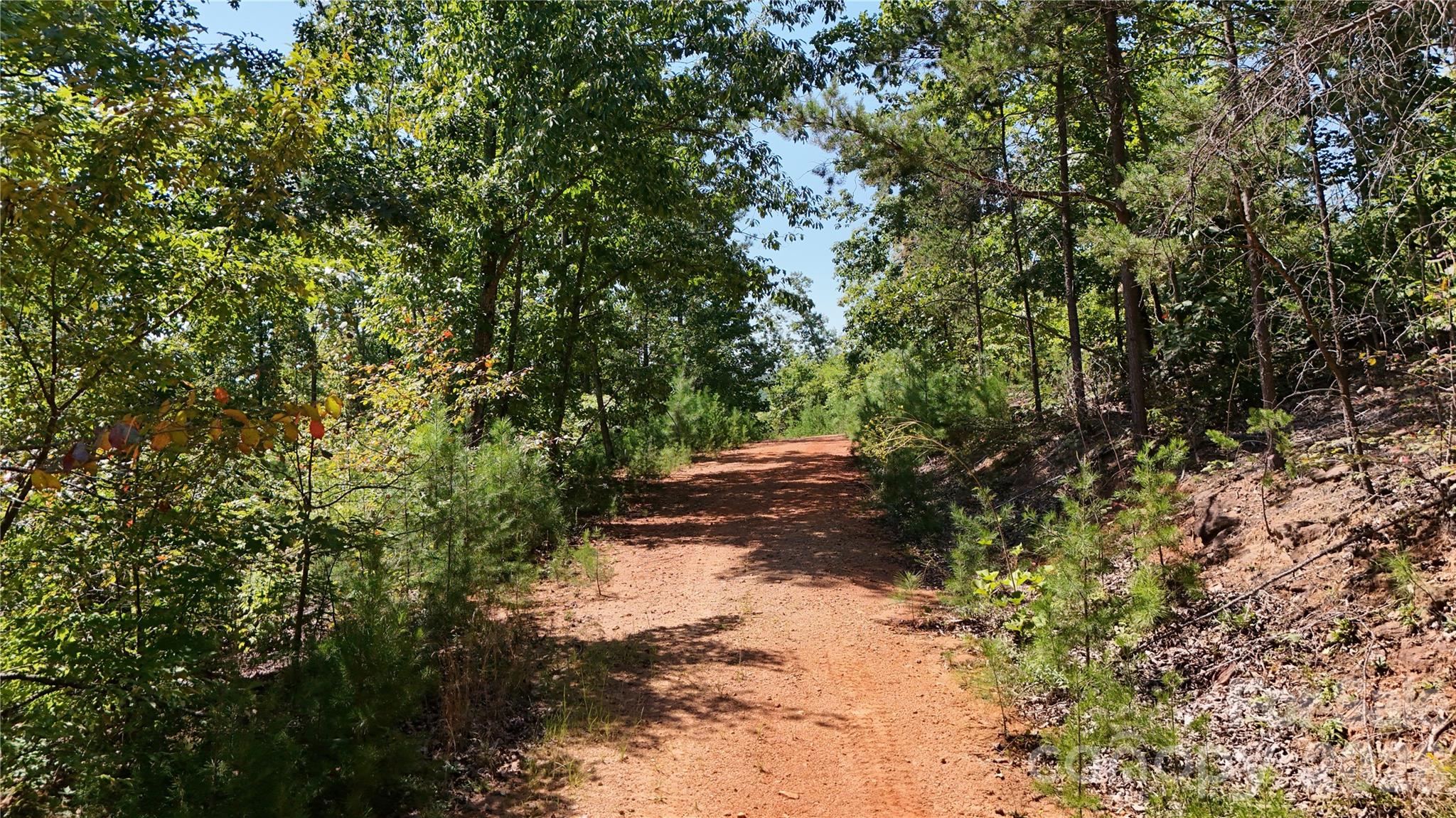 00 Camp Knob Road Property Photo 27