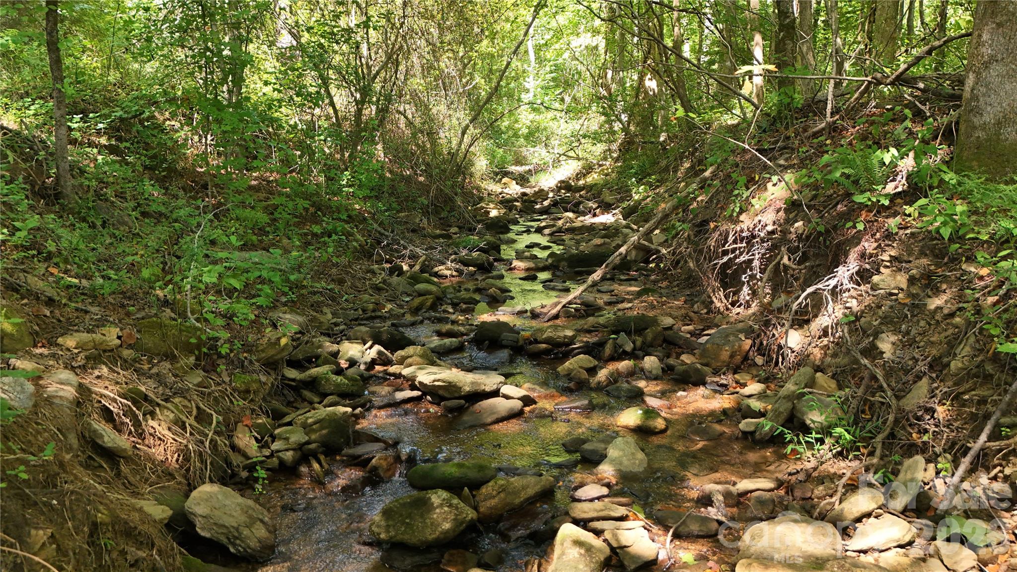 00 Camp Knob Road Property Photo 28