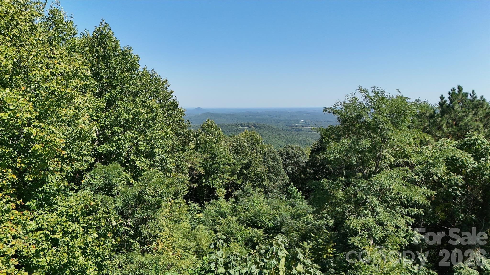 00 Camp Knob Road Property Photo 29