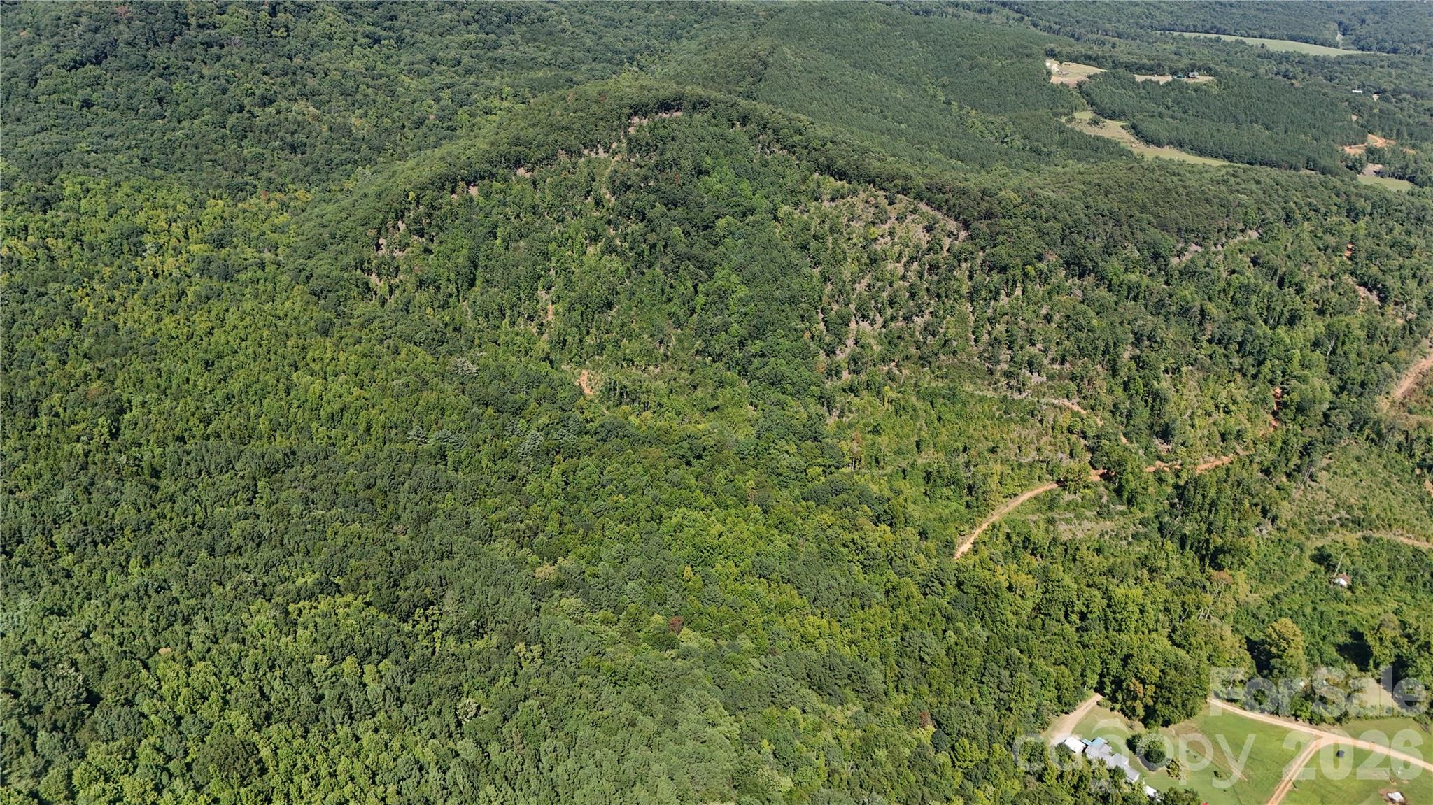 00 Camp Knob Road Property Photo 33
