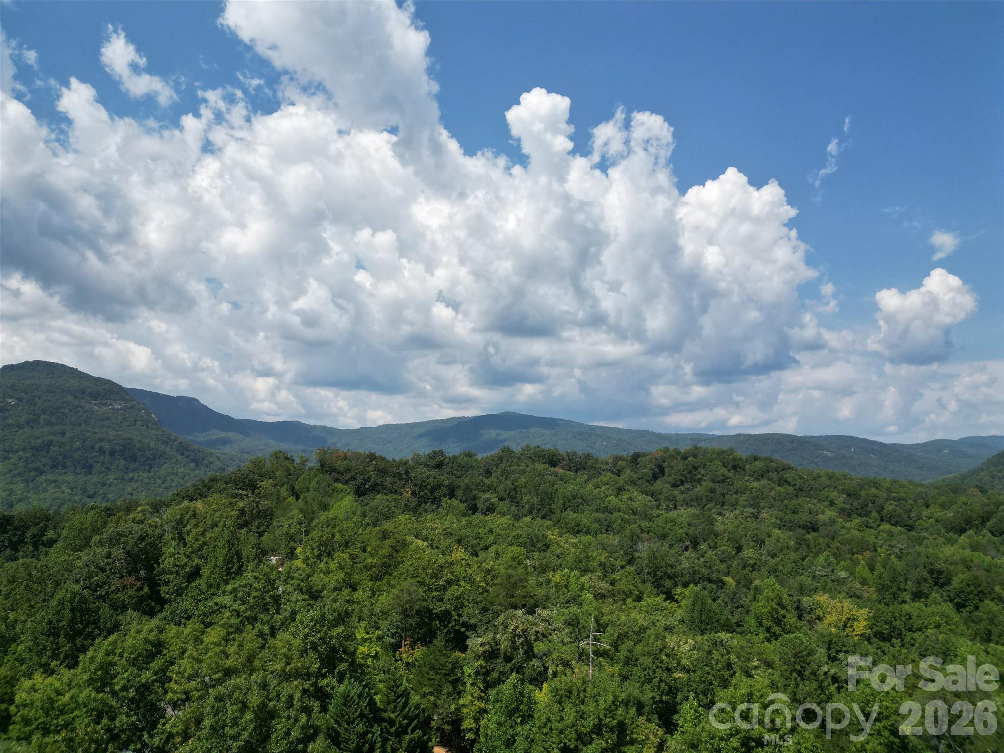Lot 1 & 2 Eagles Crest Way Property Photo 1
