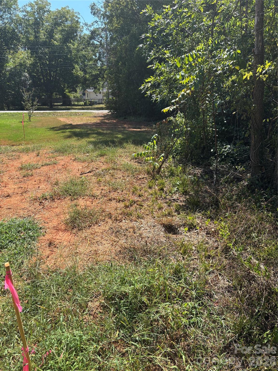 1136 Haynes Street Property Photo 3