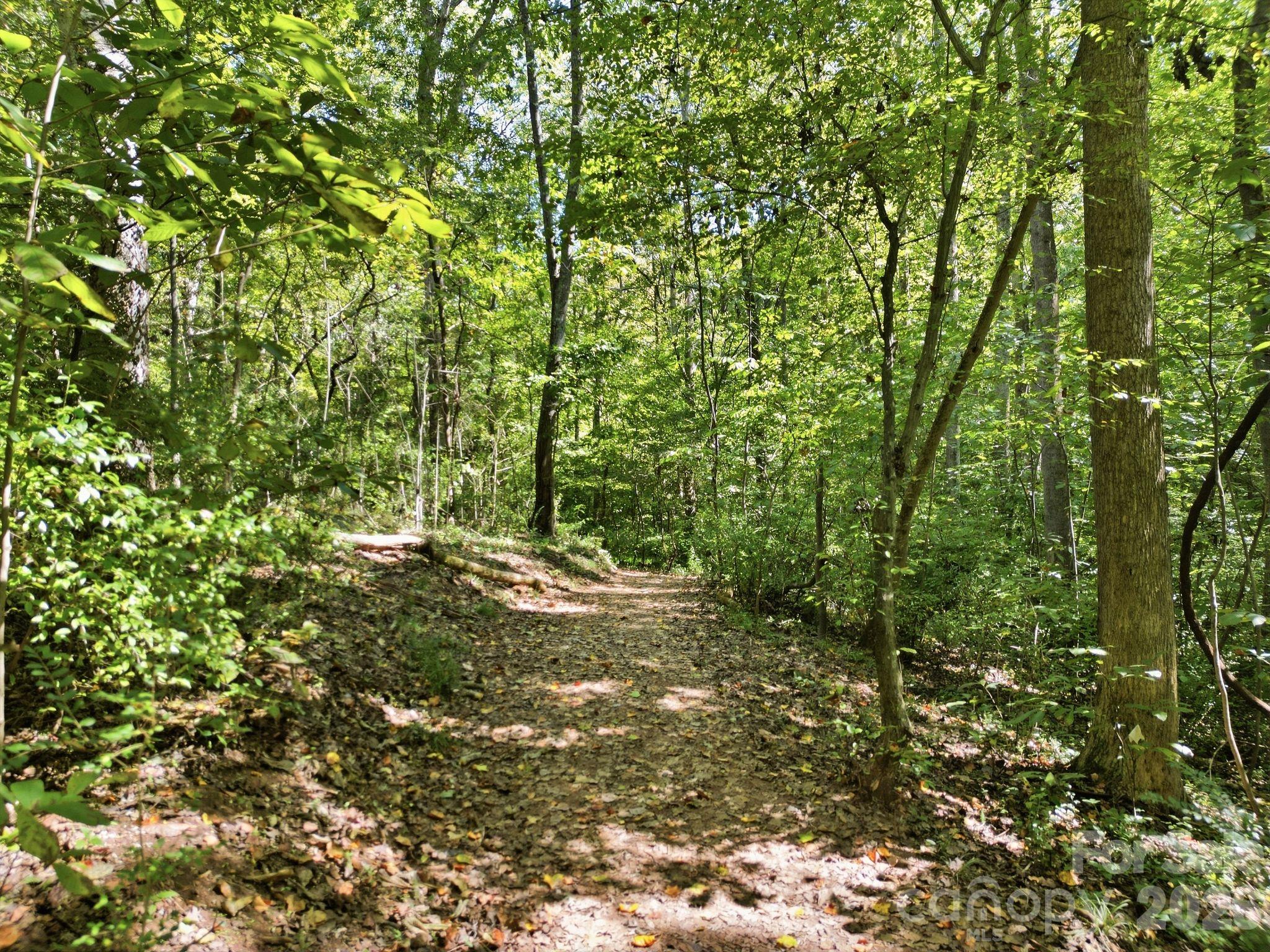 11646 Red Falcon Court Property Photo 46