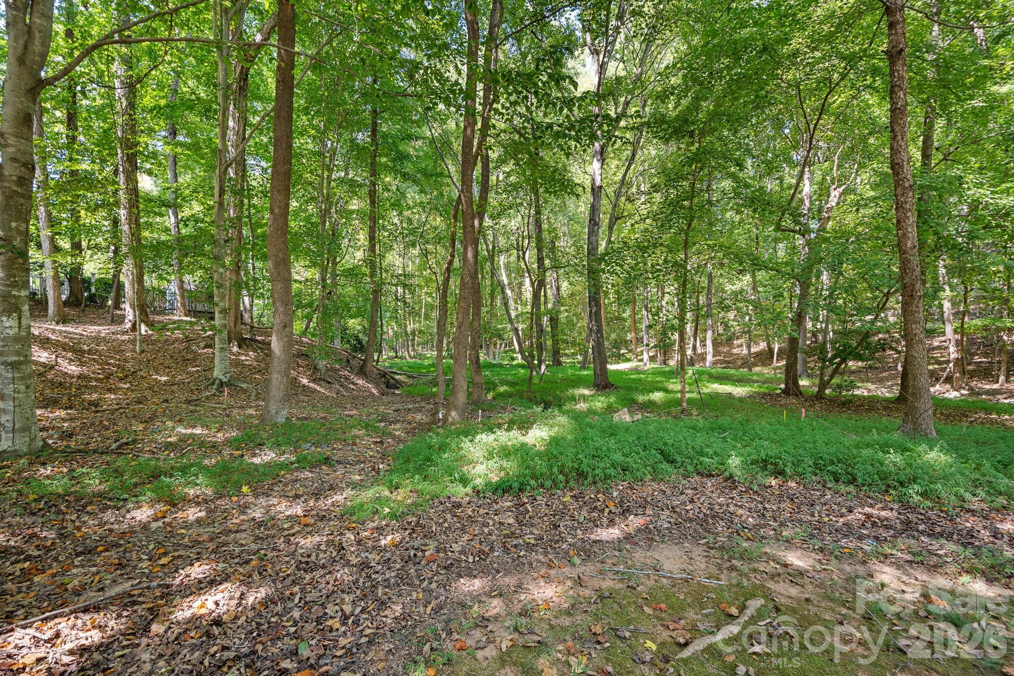 3100 Indian Rock Road Property Photo 40