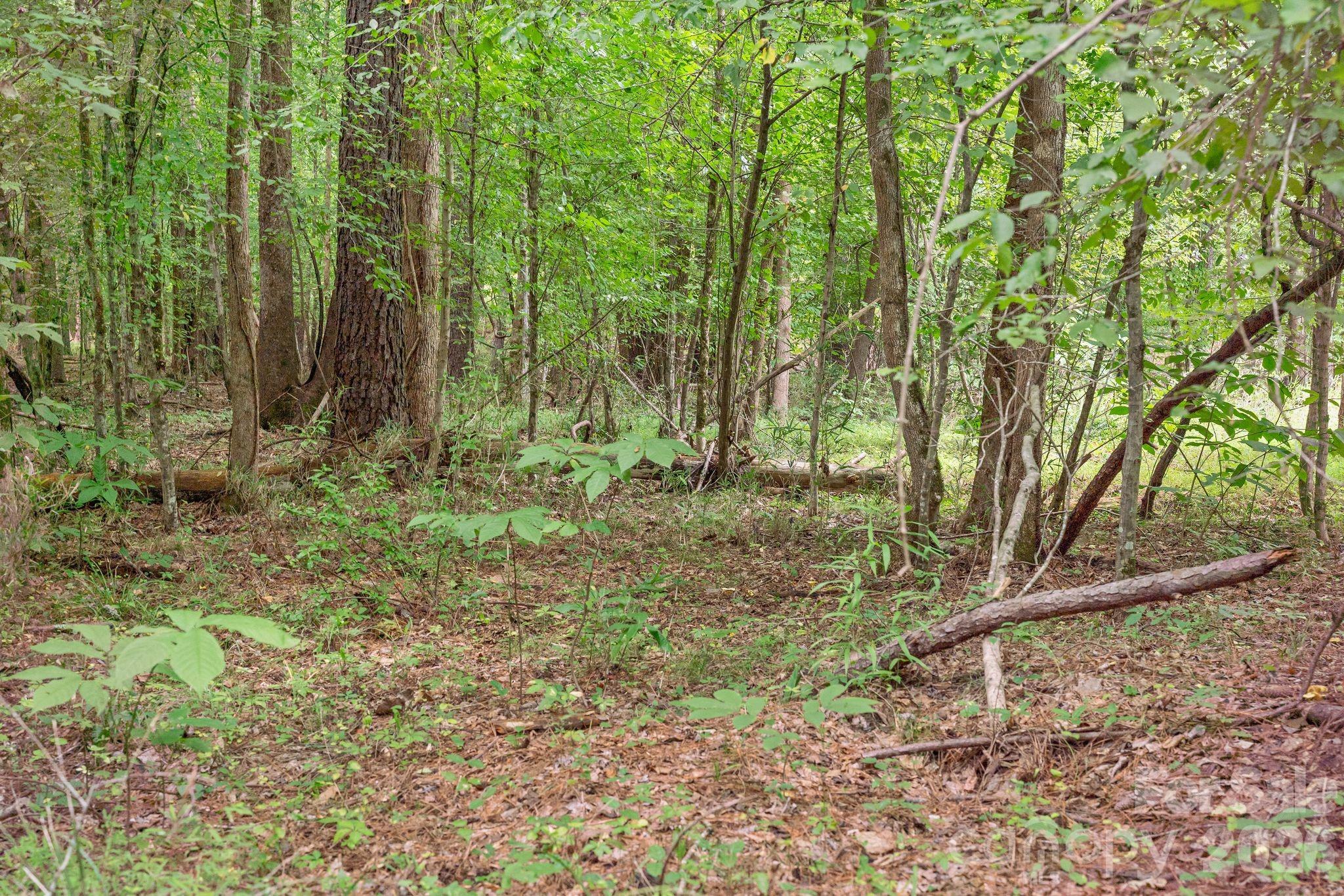 0000 Hwy 72 Highway 5 Property Photo 11