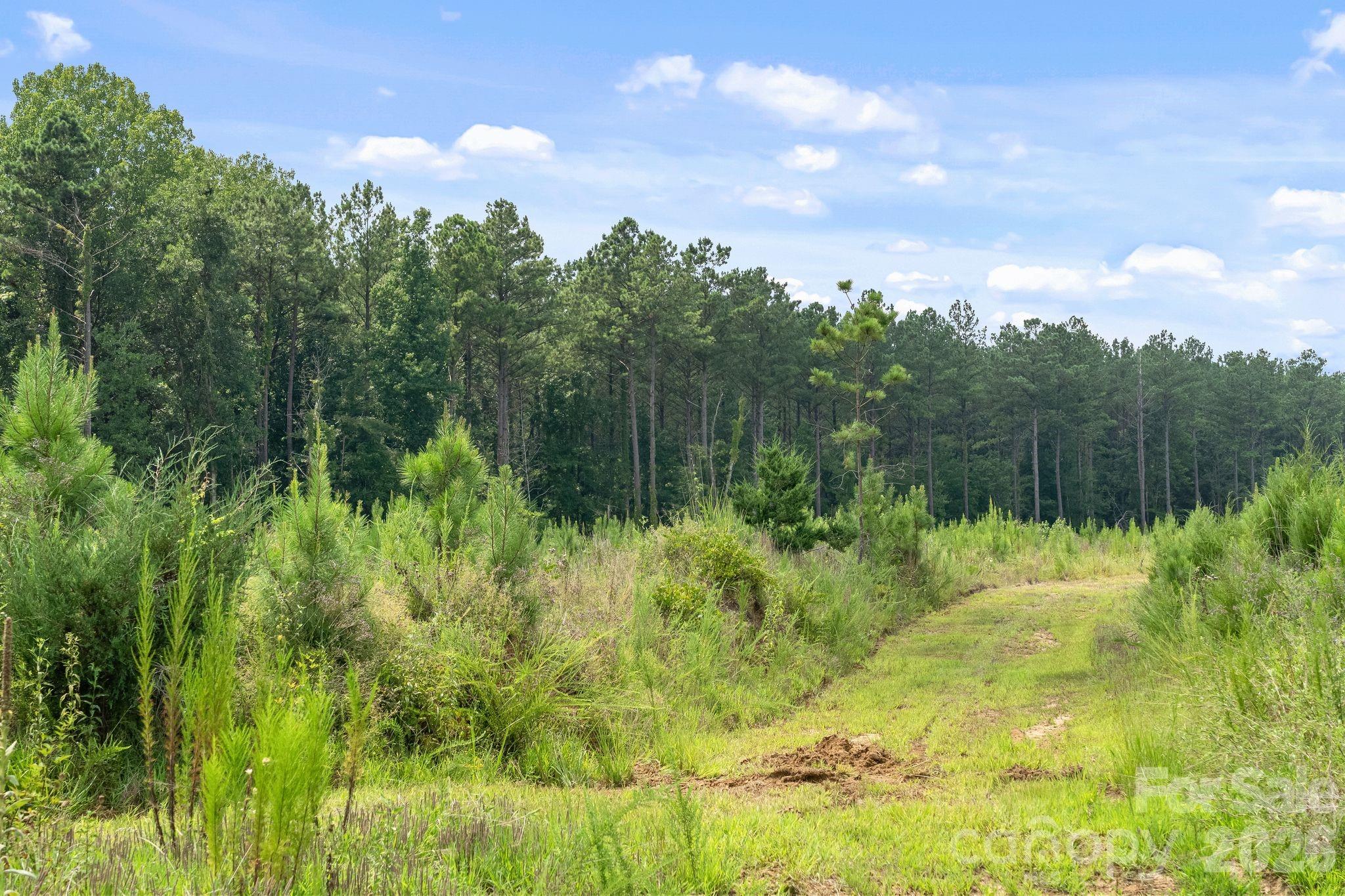 0000 Hwy 72 Highway 5 Property Photo 12