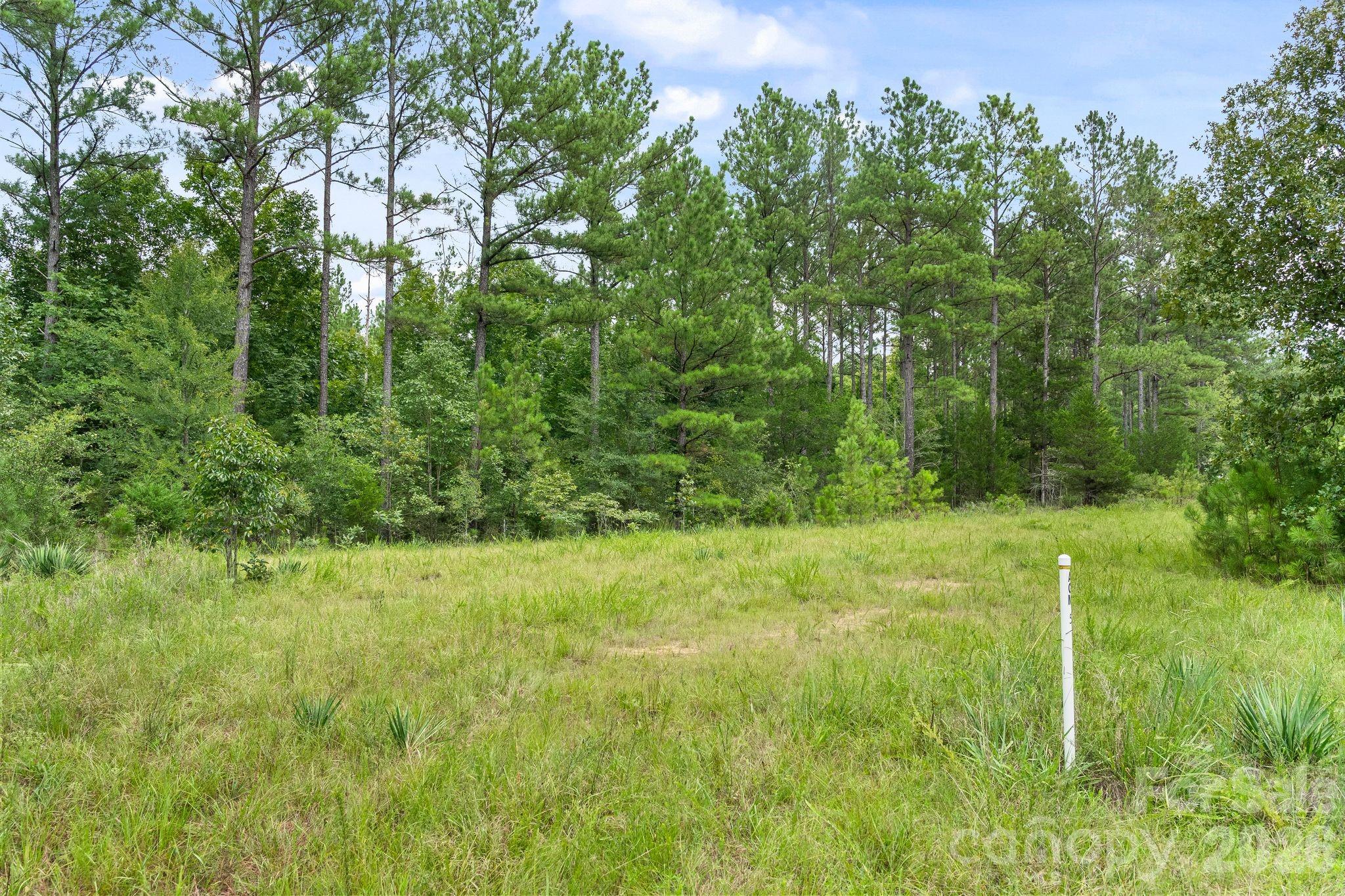 0000 Hwy 72 Highway 5 Property Photo 13