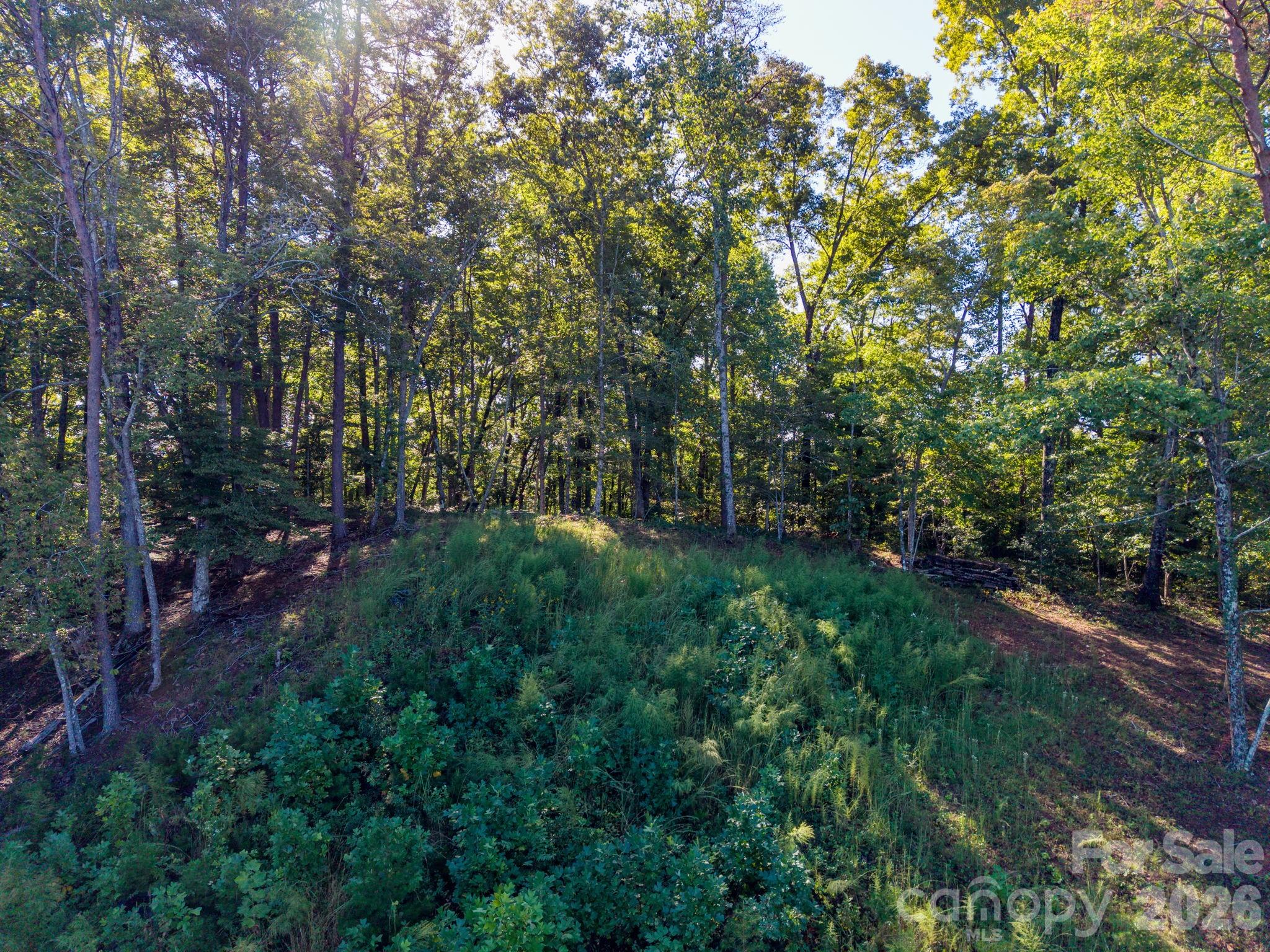 0 S Cross Creek Trail 17 Property Photo 15