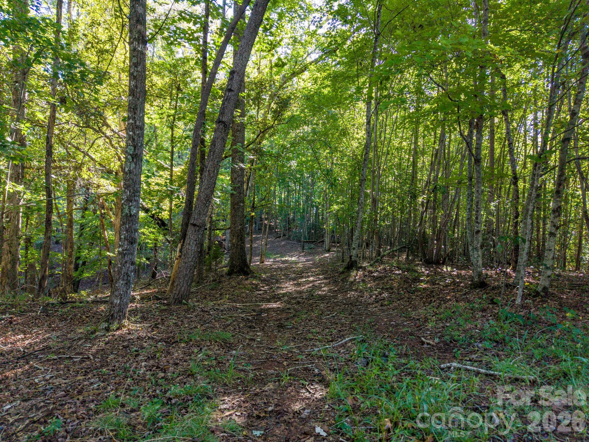0 S Cross Creek Trail 17 Property Photo 19