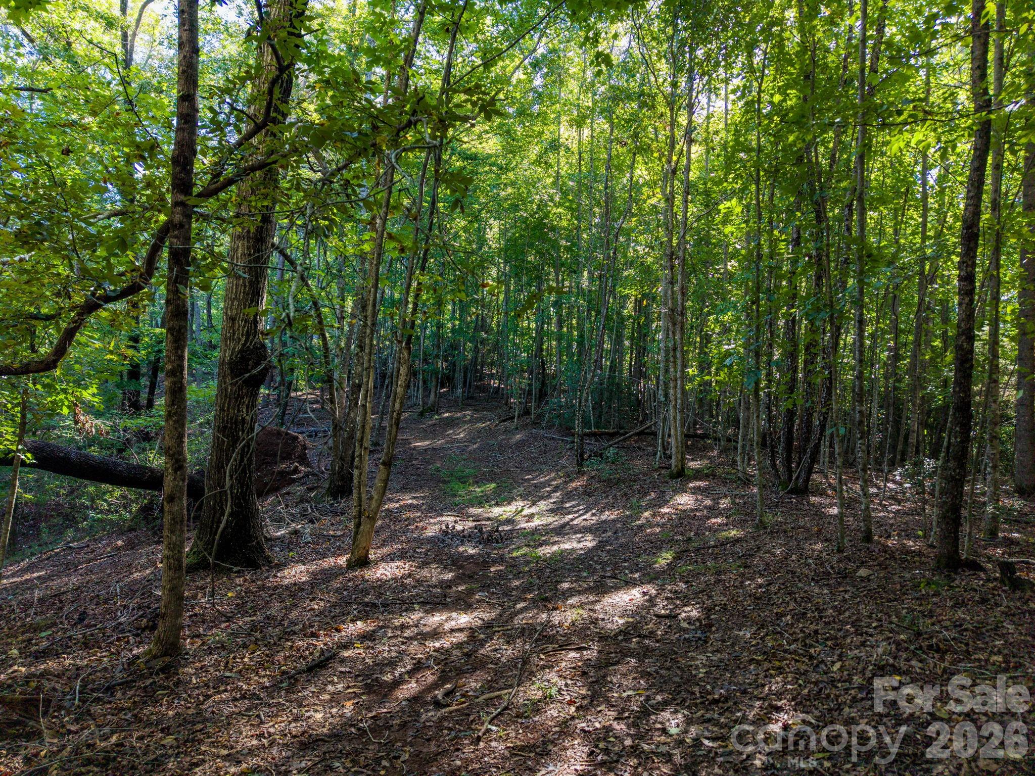 0 S Cross Creek Trail 17 Property Photo 20