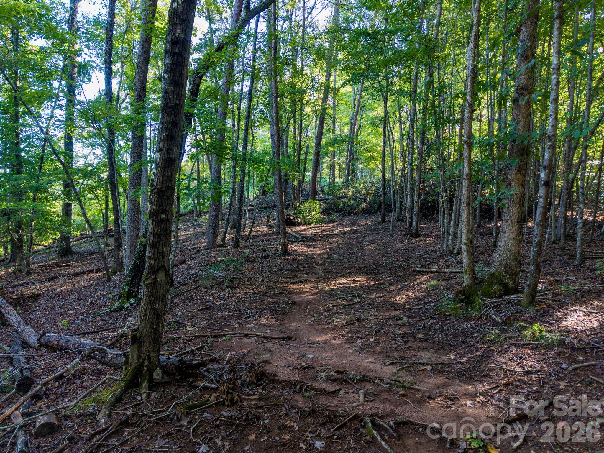 0 S Cross Creek Trail 17 Property Photo 21