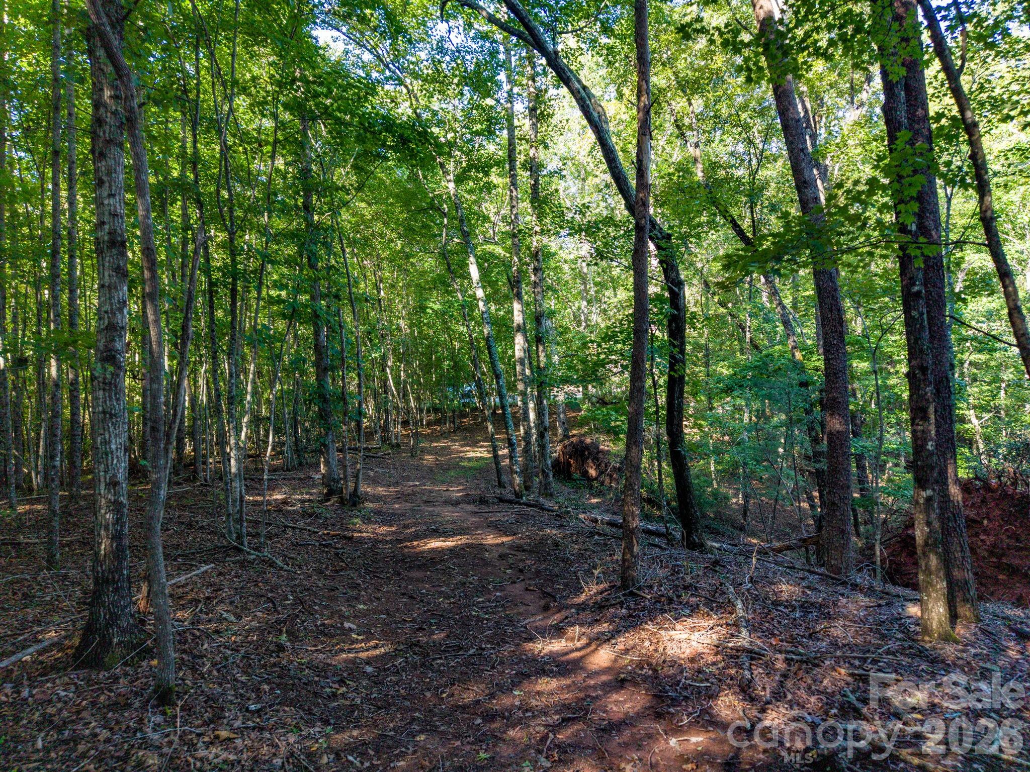 0 S Cross Creek Trail 17 Property Photo 22
