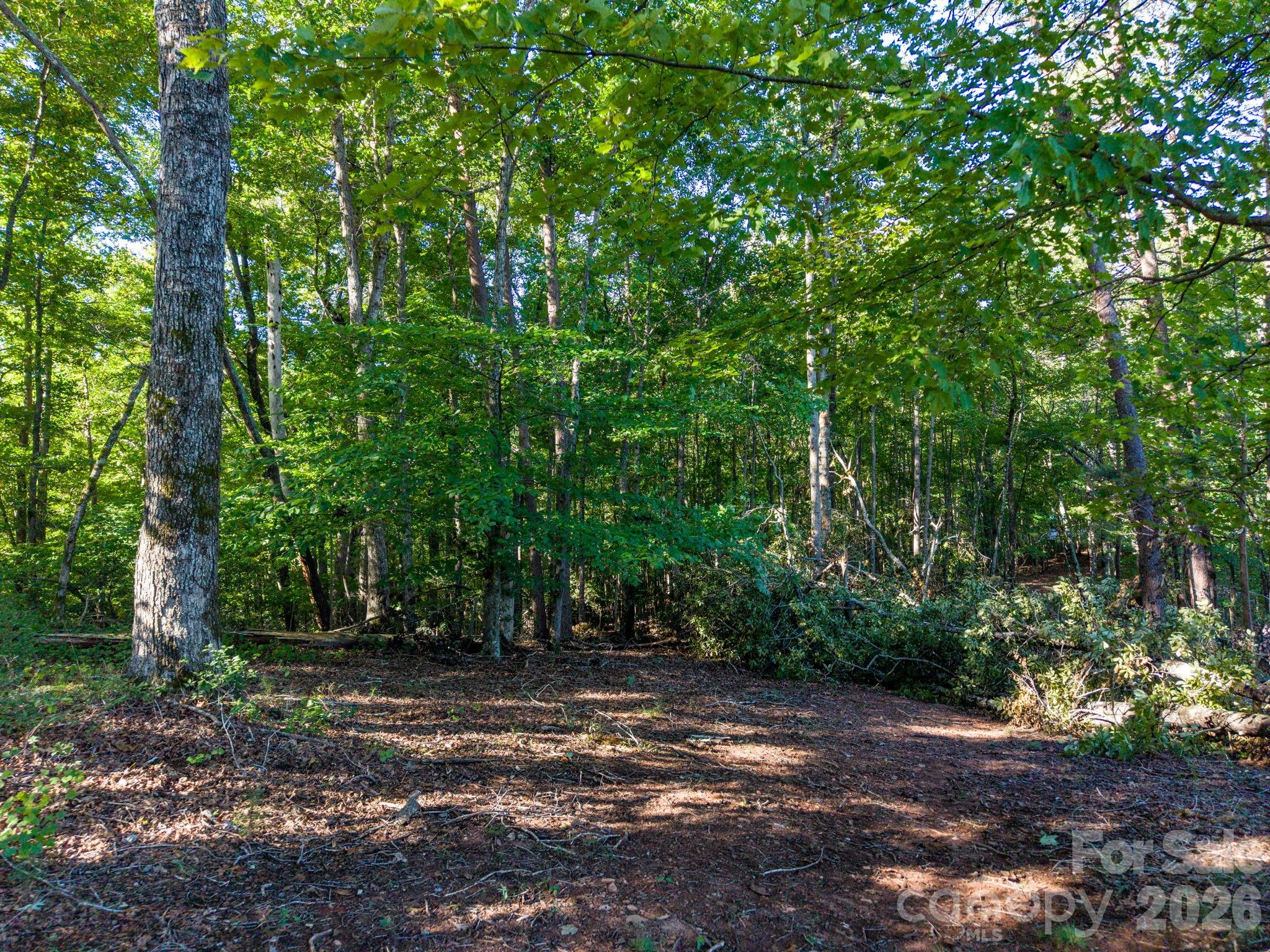 0 S Cross Creek Trail 17 Property Photo 23