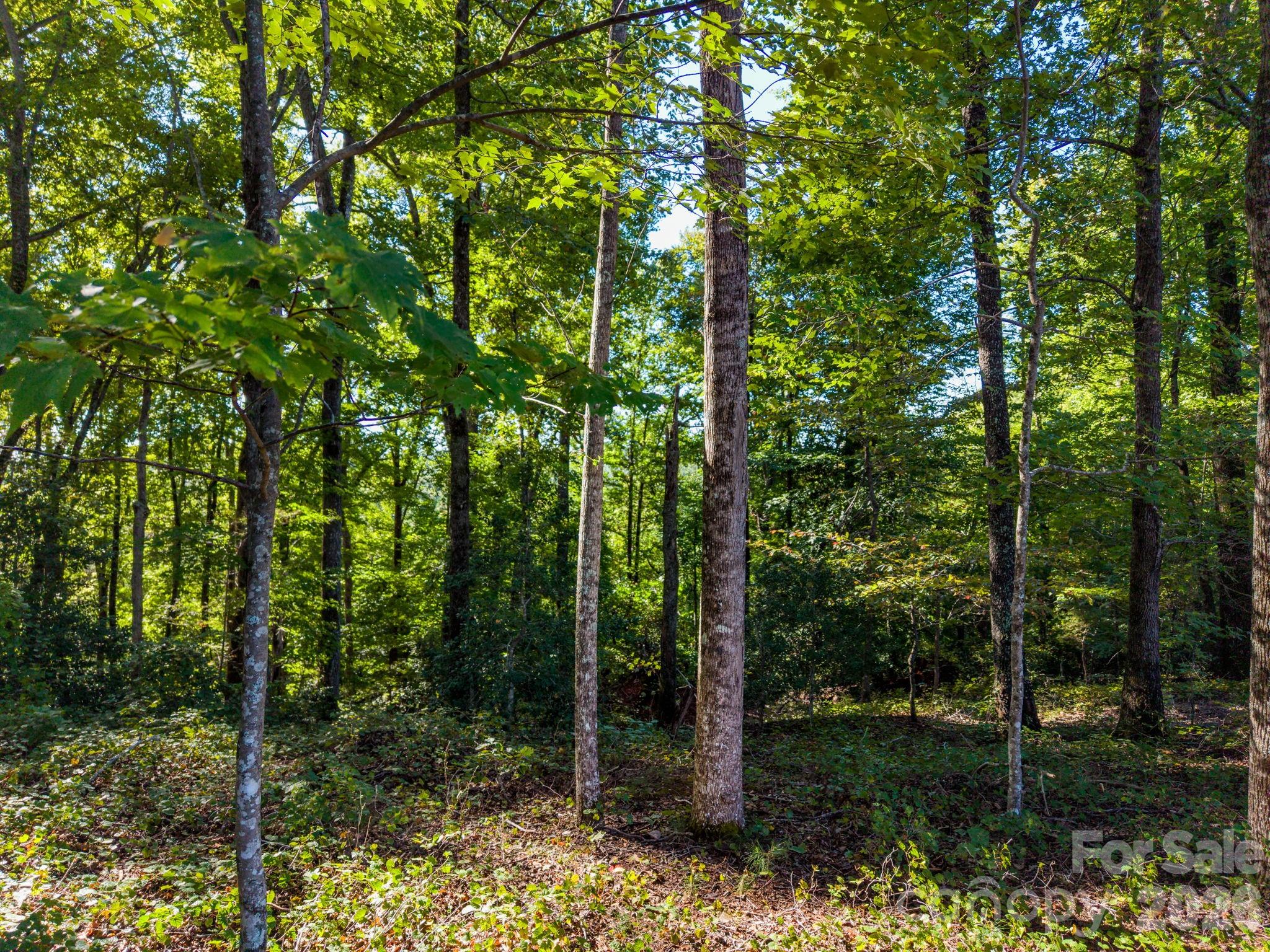 0 S Cross Creek Trail 17 Property Photo 27