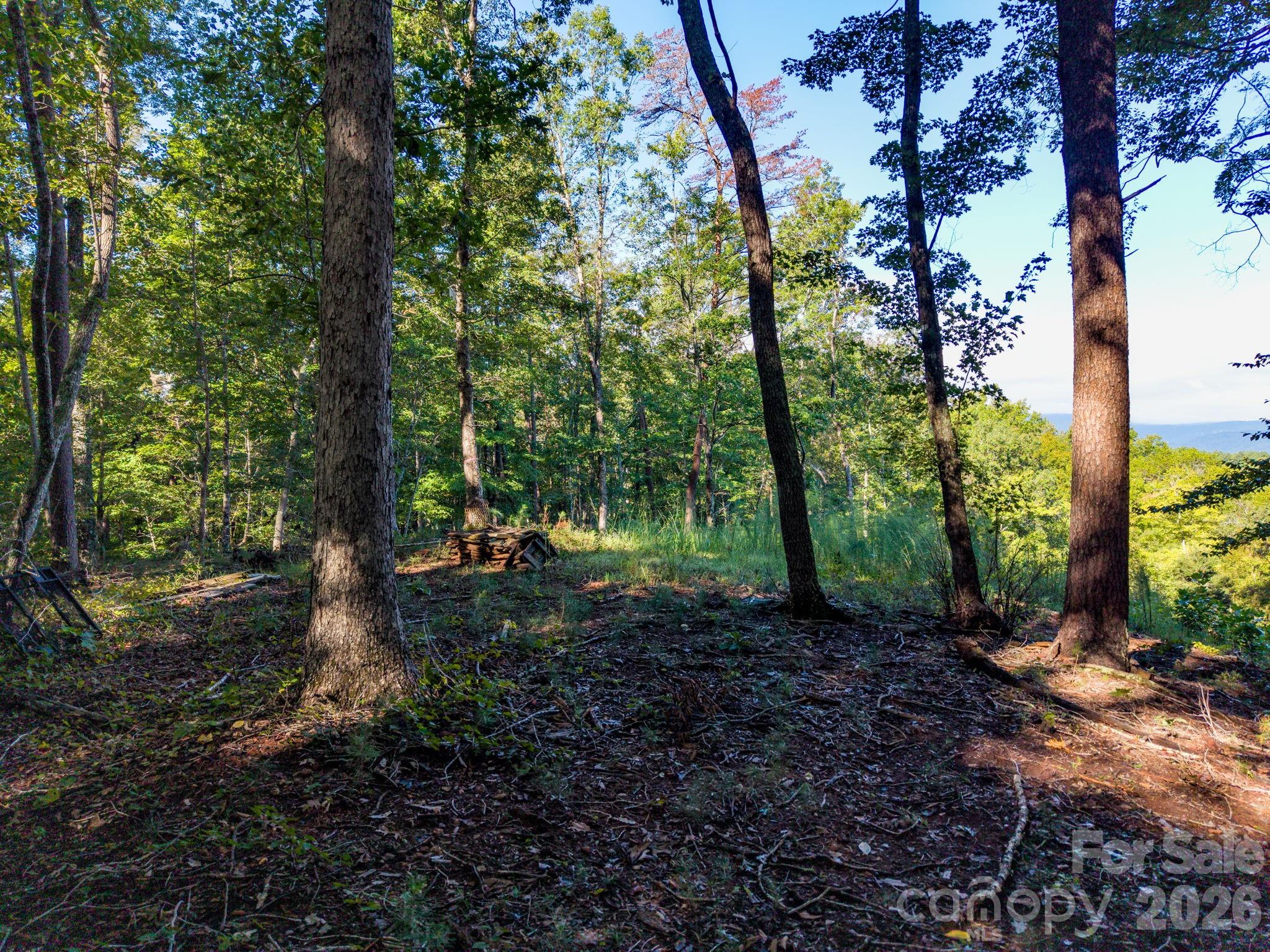 0 S Cross Creek Trail 17 Property Photo 28