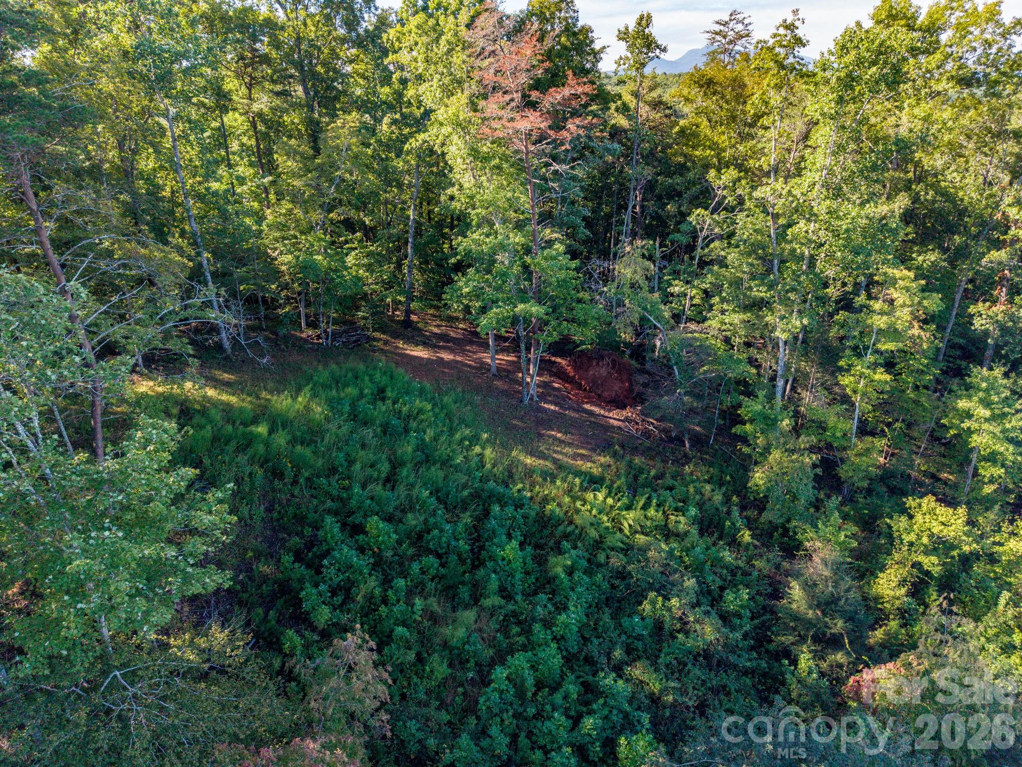 0 S Cross Creek Trail 17 Property Photo 29