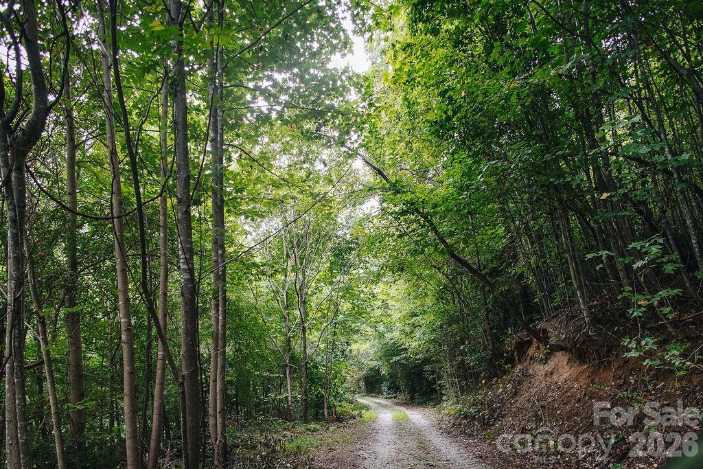 6830 Bat Cave Road Property Photo 44