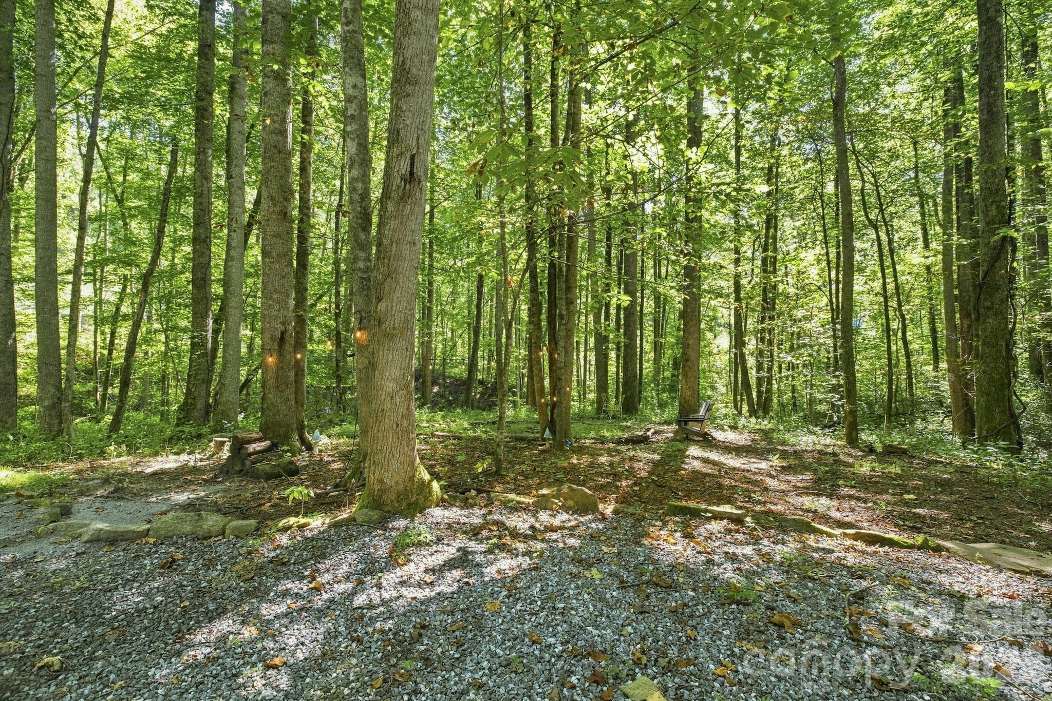 145 Kingfisher Lane Property Photo 29
