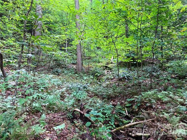 000 Peppervine Circle Property Photo 3