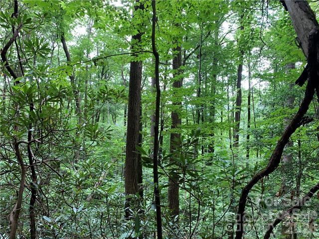 000 Peppervine Circle Property Photo 4
