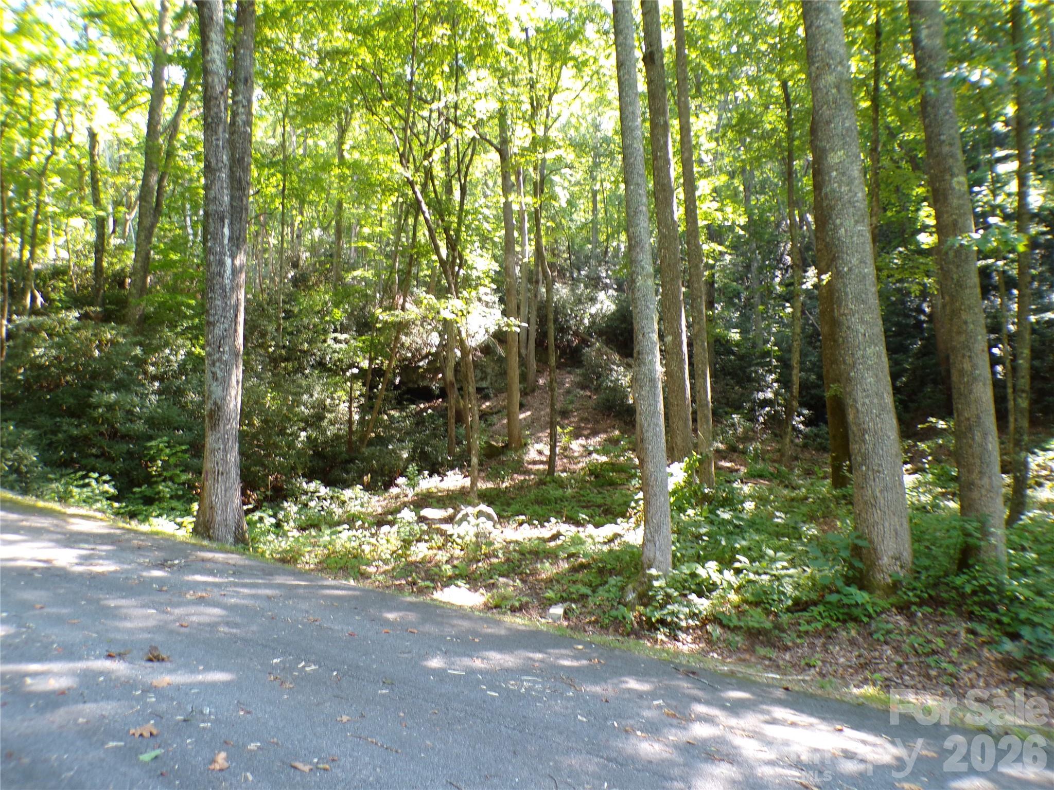 000 Peppervine Circle Property Photo 6