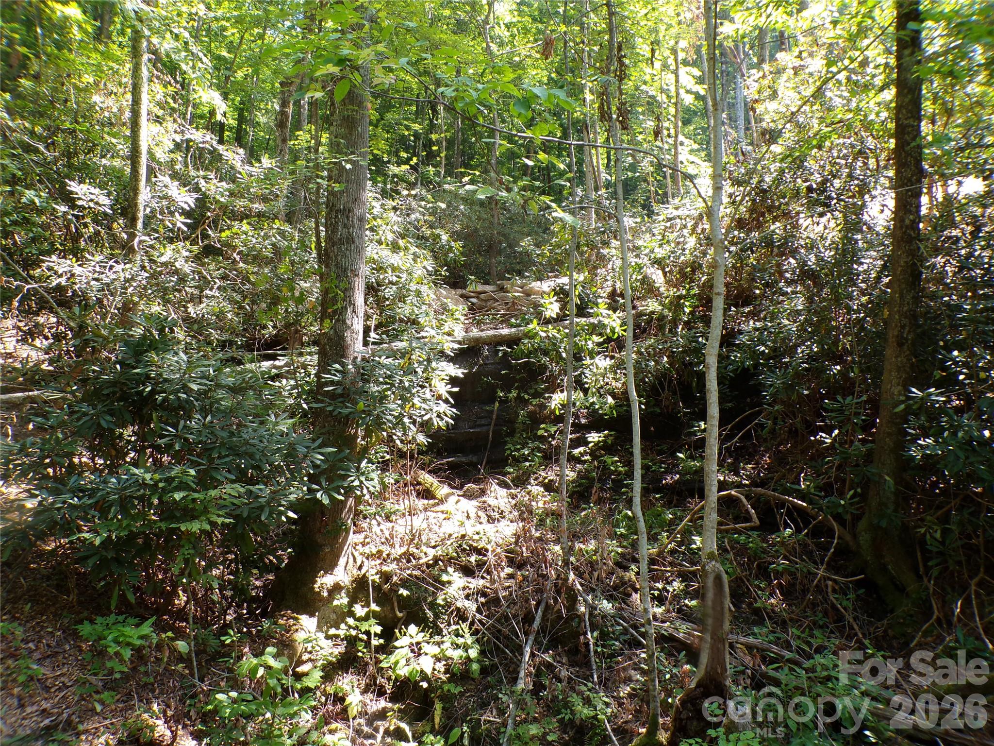 000 Peppervine Circle Property Photo 13