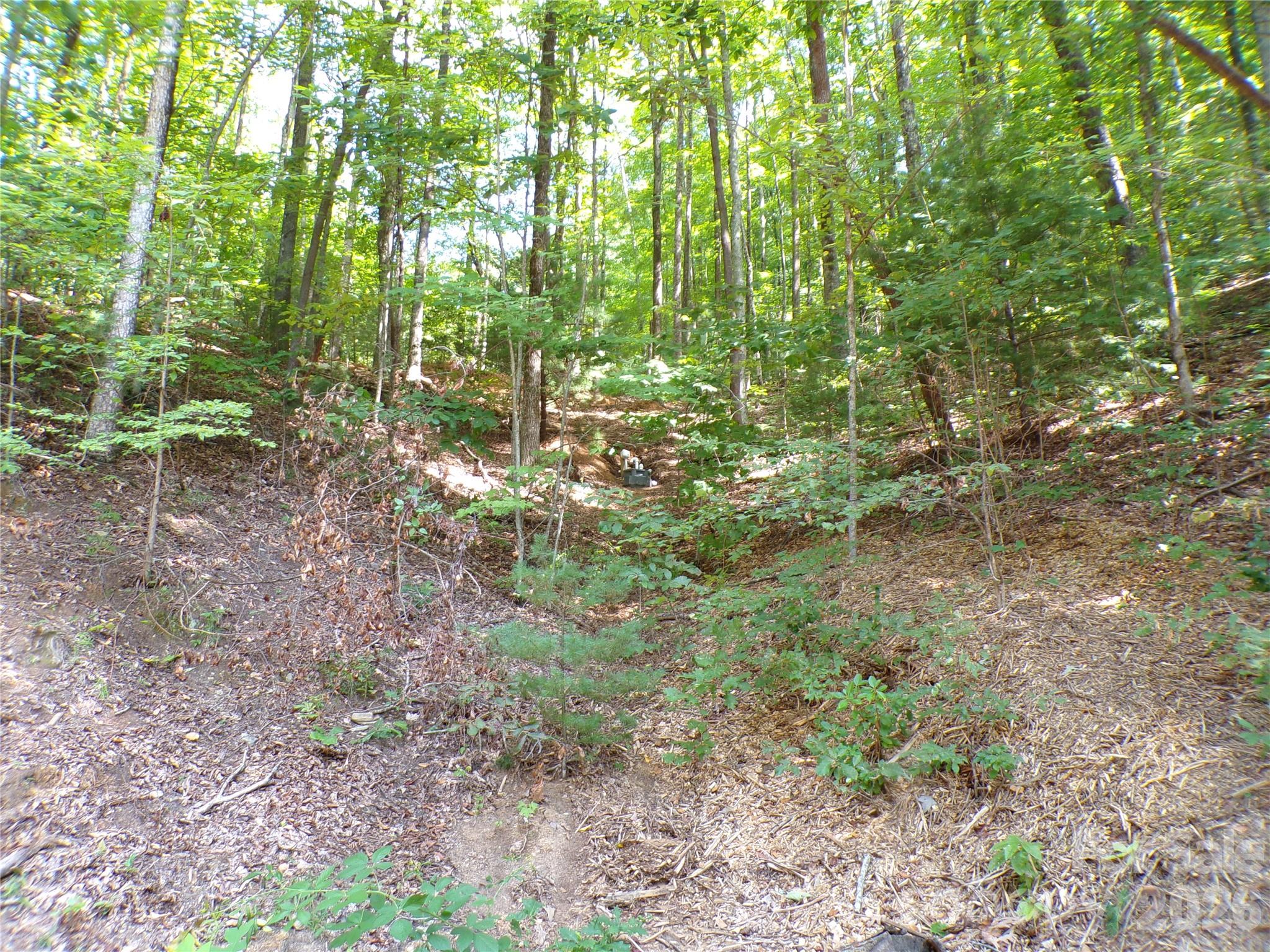 000 Peppervine Circle Property Photo 14