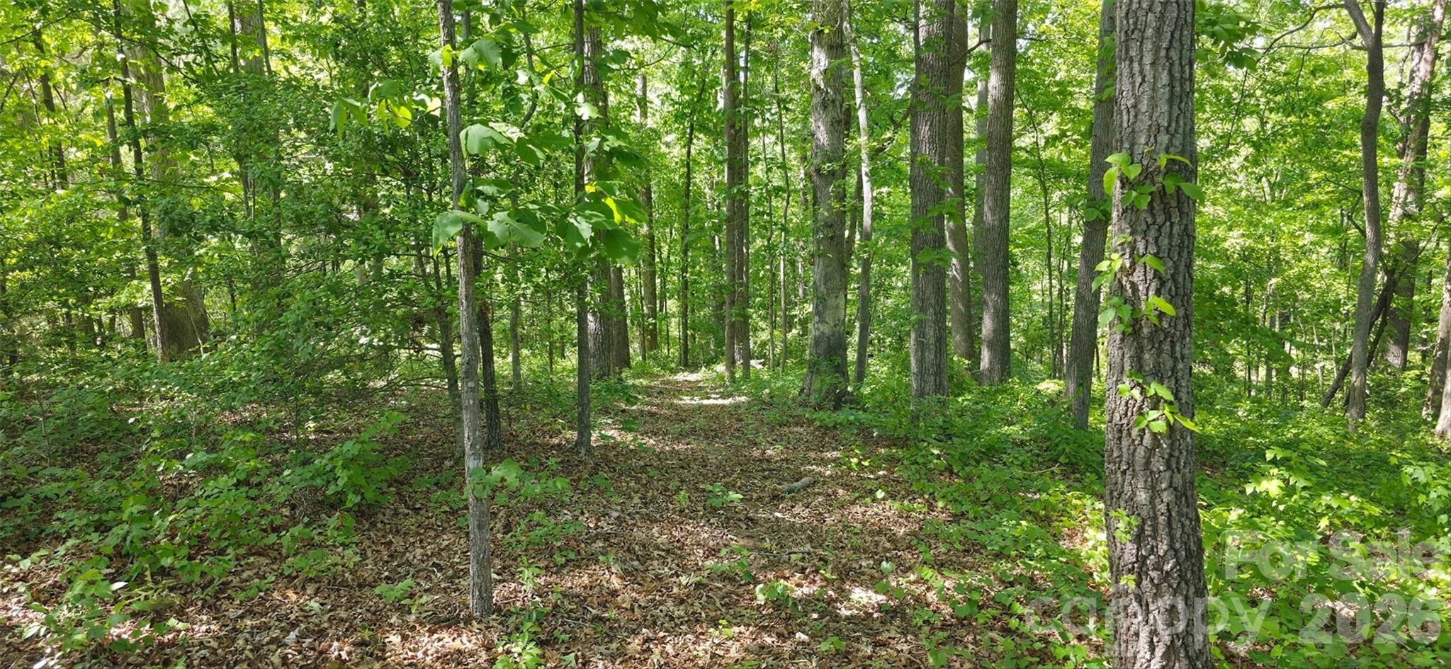 1732 Paul Payne Store Road Property Photo 41
