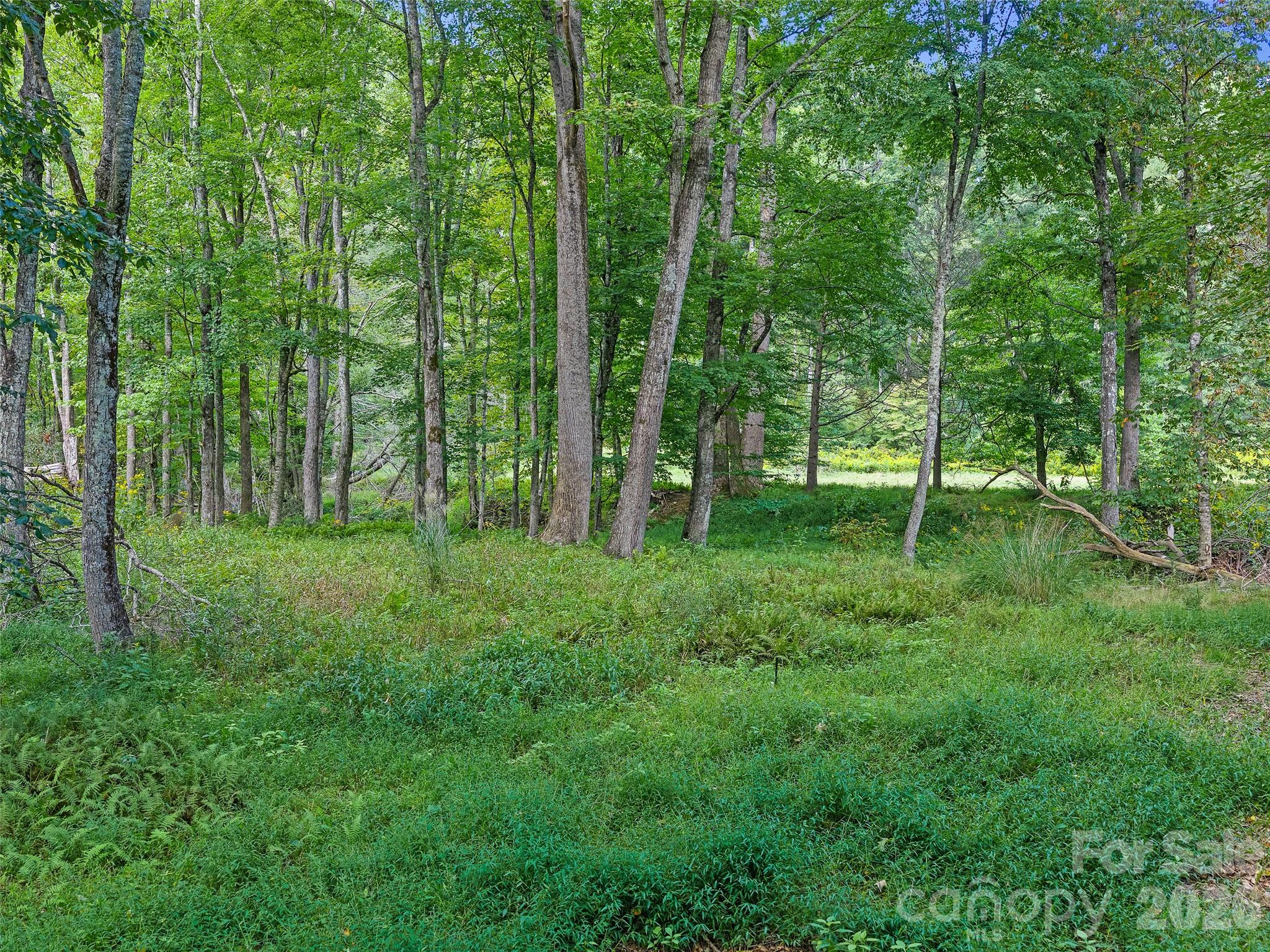 0 Riverlinks Drive 6 Property Photo 4