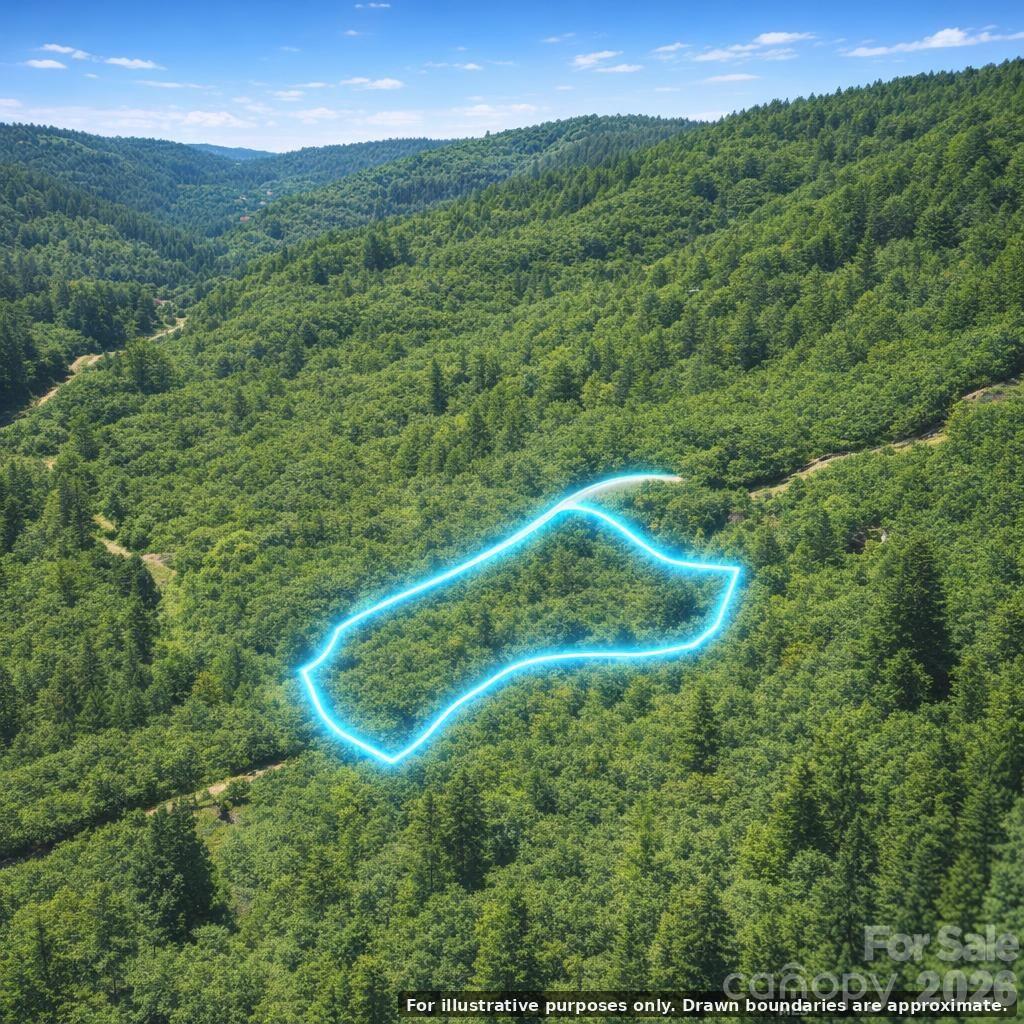 0 Dugger Ridge Property Photo 2