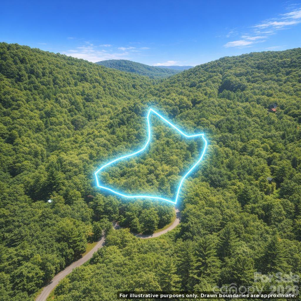 0 Dugger Ridge Property Photo 3