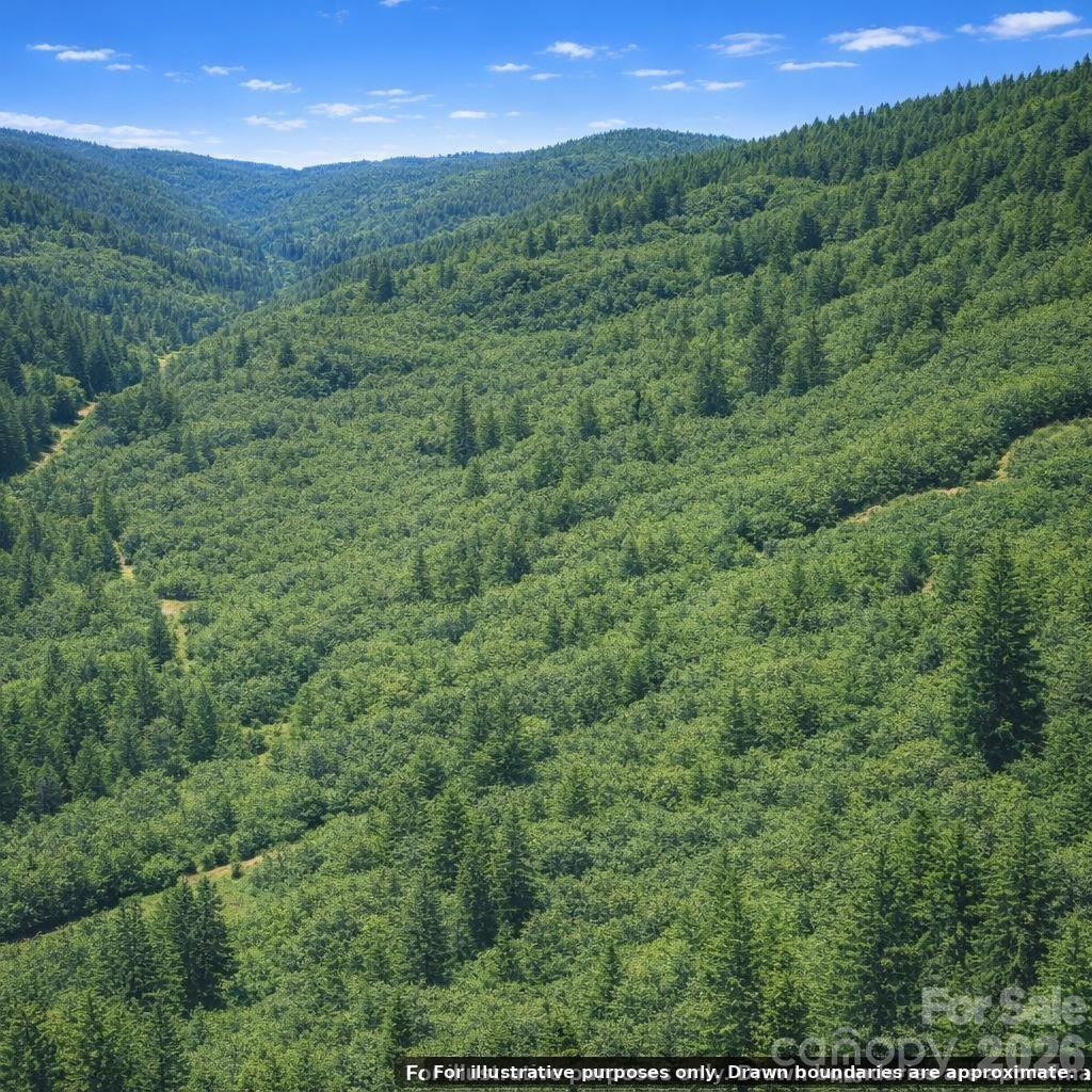 0 Dugger Ridge Property Photo 5