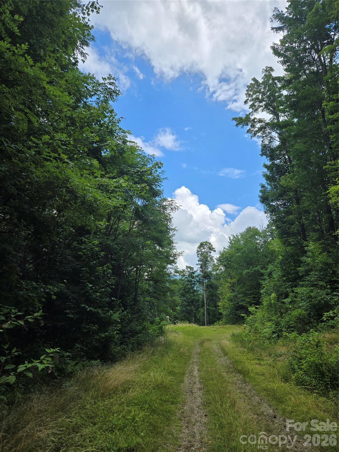 102 Tenderfoot Trail 102 & 103 Property Photo 1