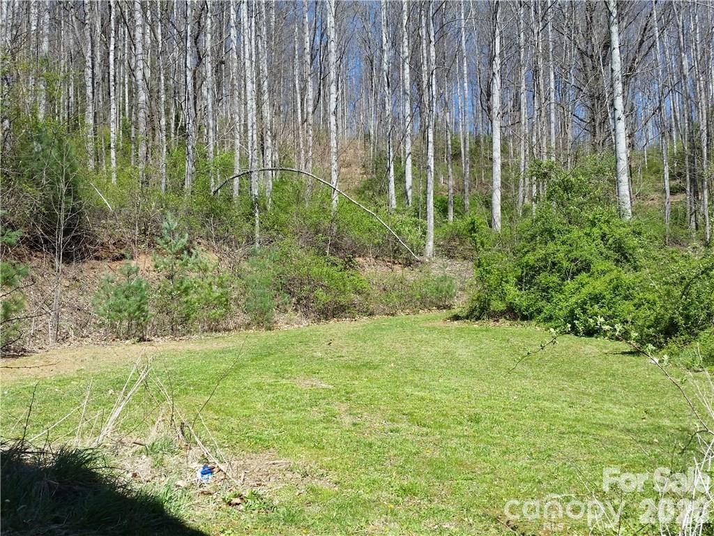 31 Mistletoe Ridge Property Photo 6
