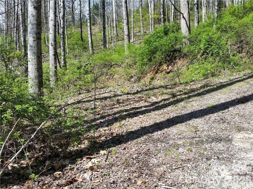 31 Mistletoe Ridge Property Photo 9