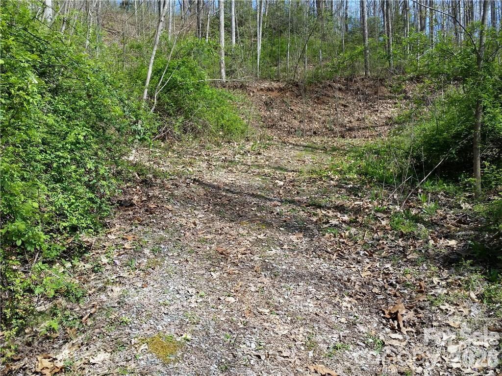 31 Mistletoe Ridge Property Photo 11