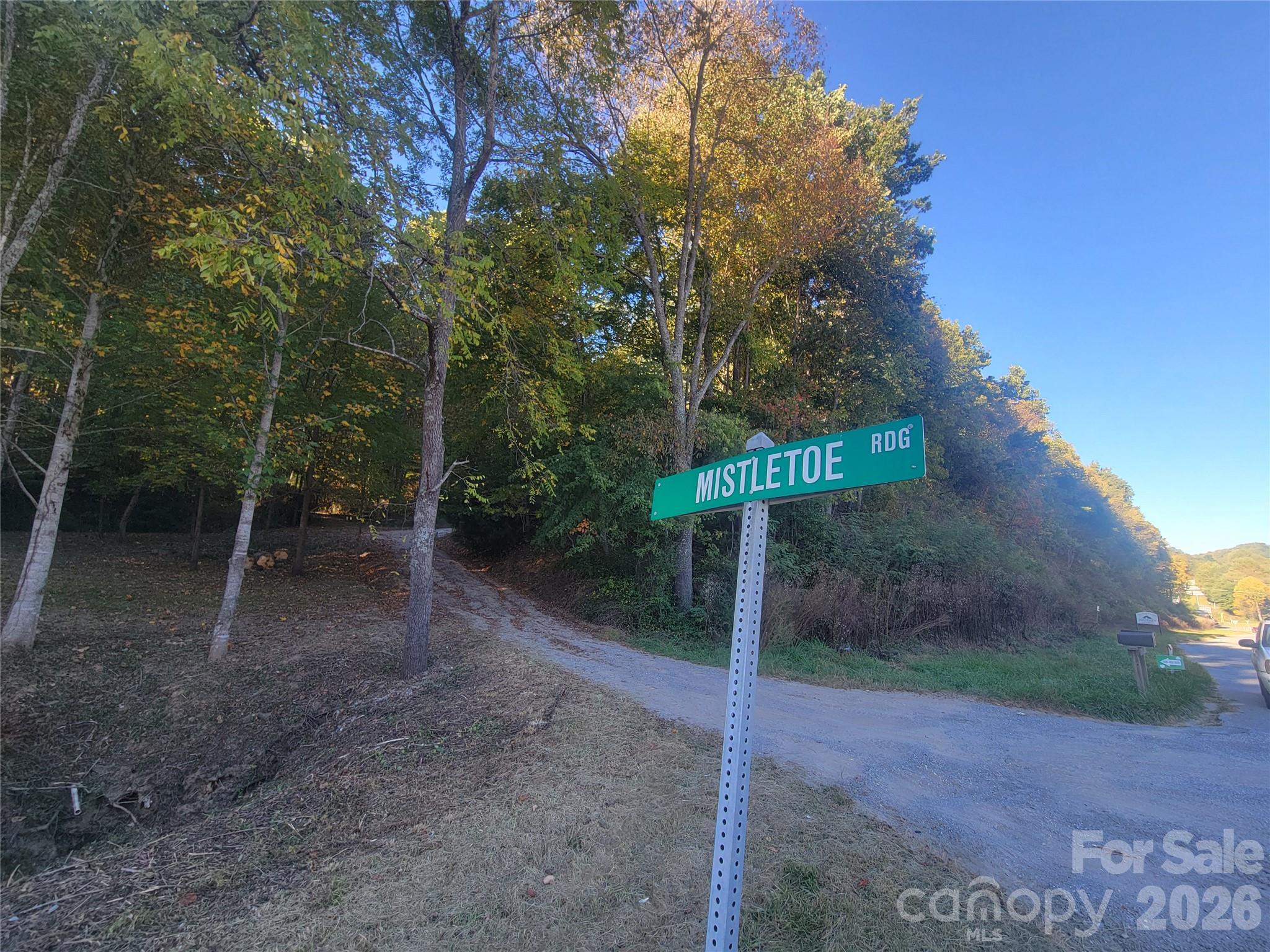 31 Mistletoe Ridge Property Photo 13