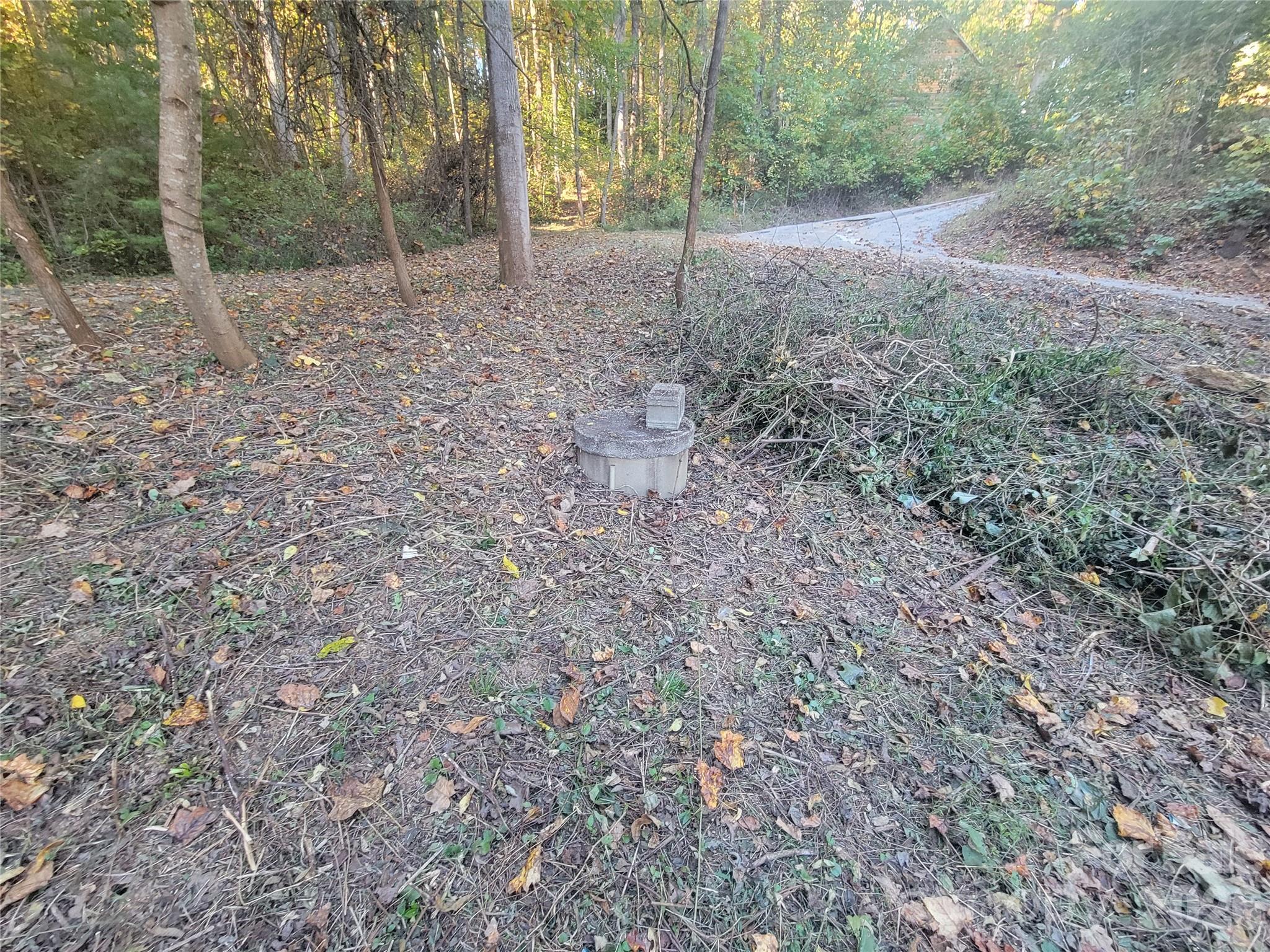 31 Mistletoe Ridge Property Photo 23