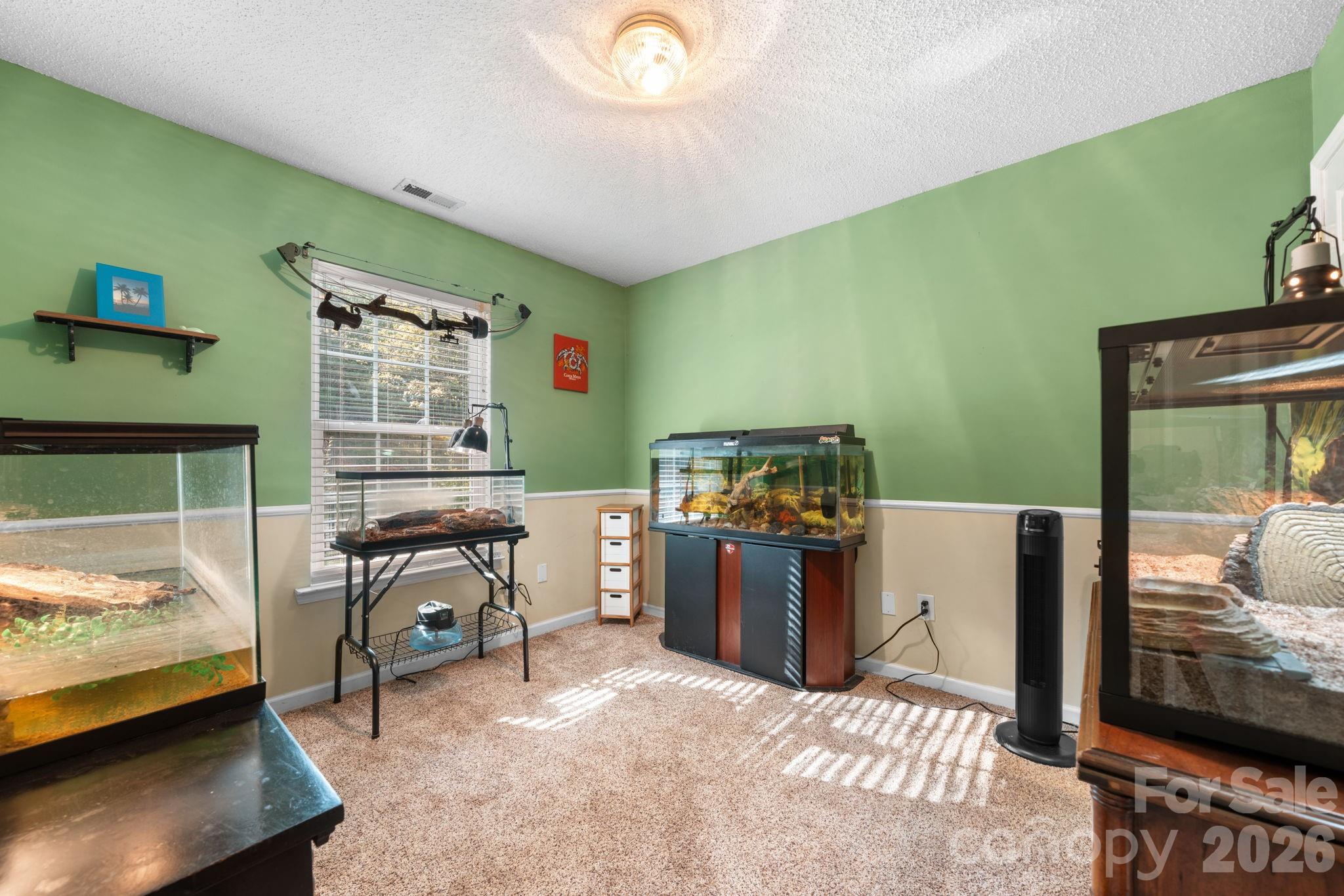 4218 Piney Road Property Photo 22