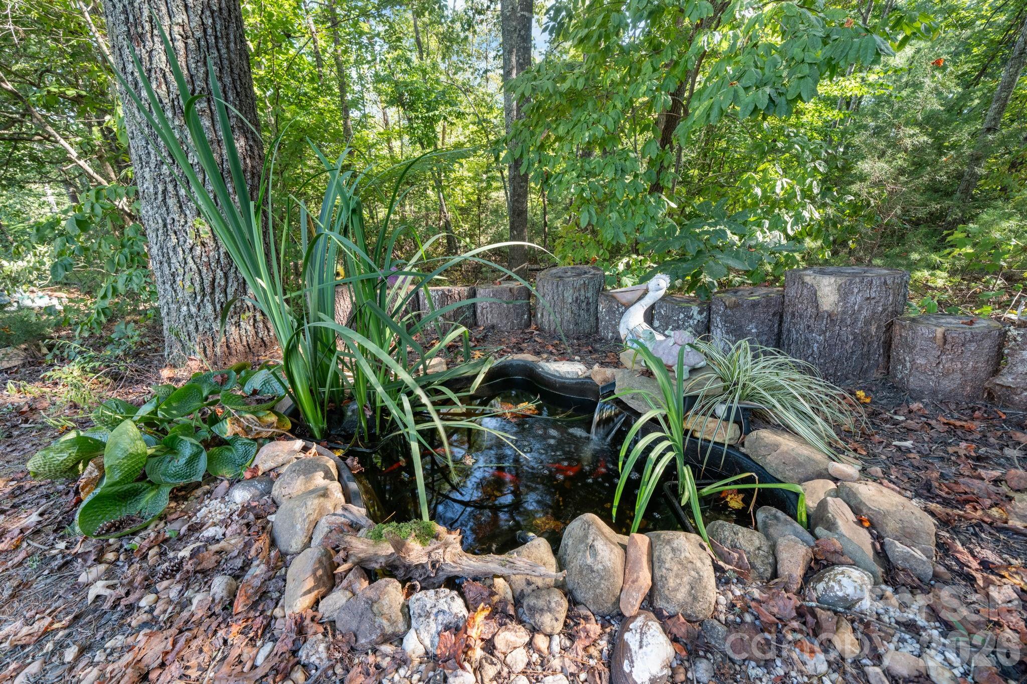 4218 Piney Road Property Photo 25