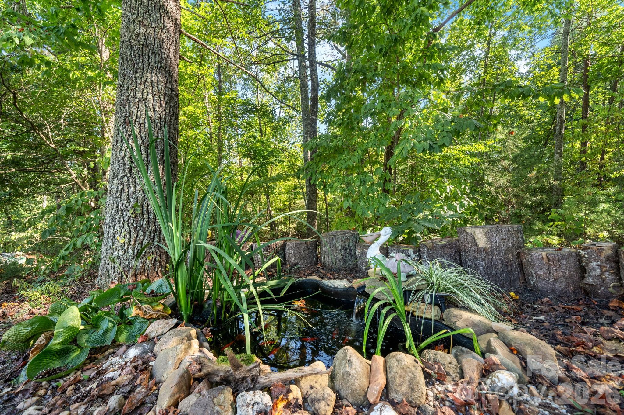 4218 Piney Road Property Photo 26