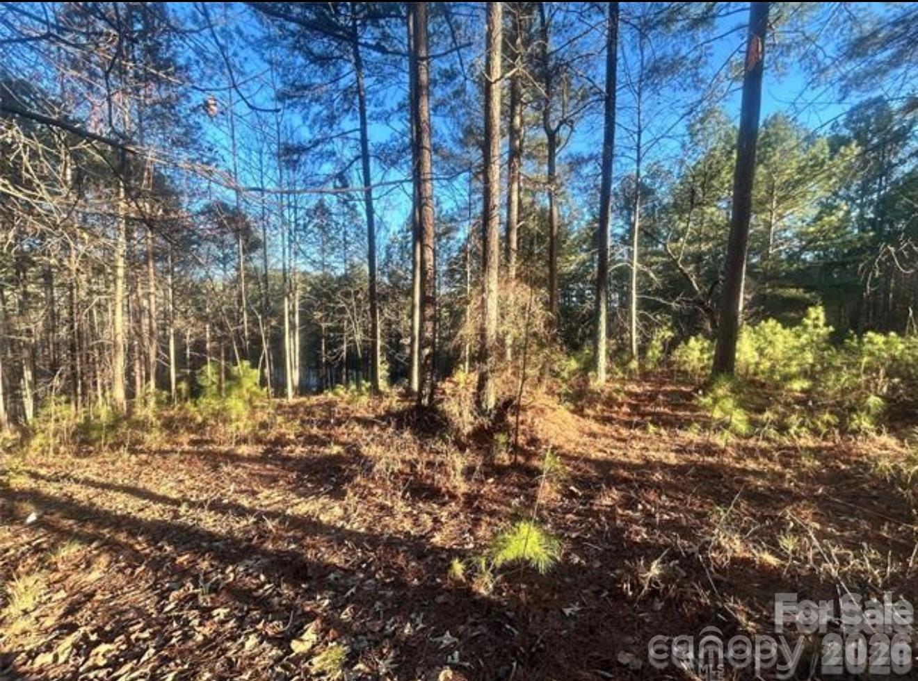 5501 Bridgewater Drive Property Photo 1