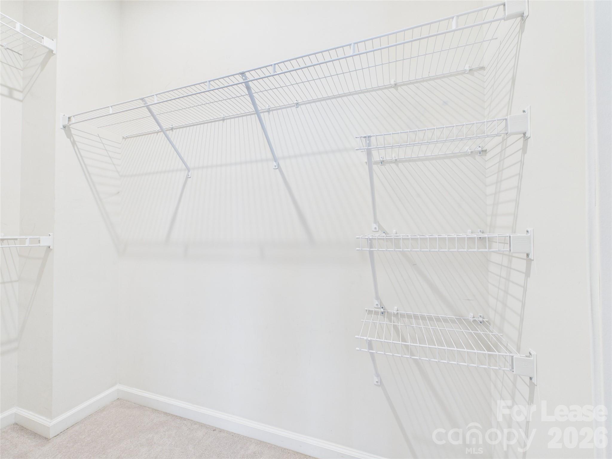 1205 Ashbury Street Property Photo 16