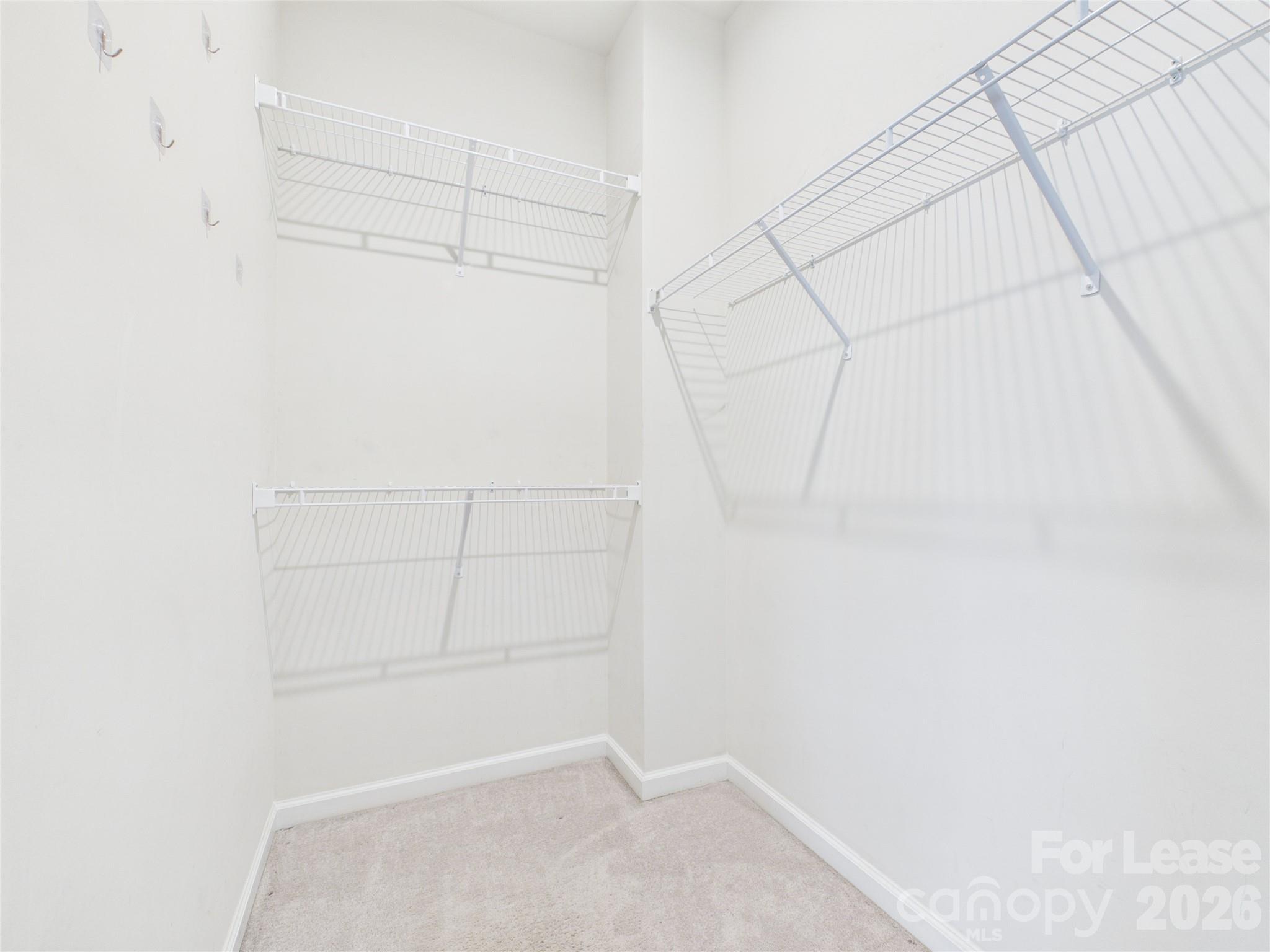 1205 Ashbury Street Property Photo 17