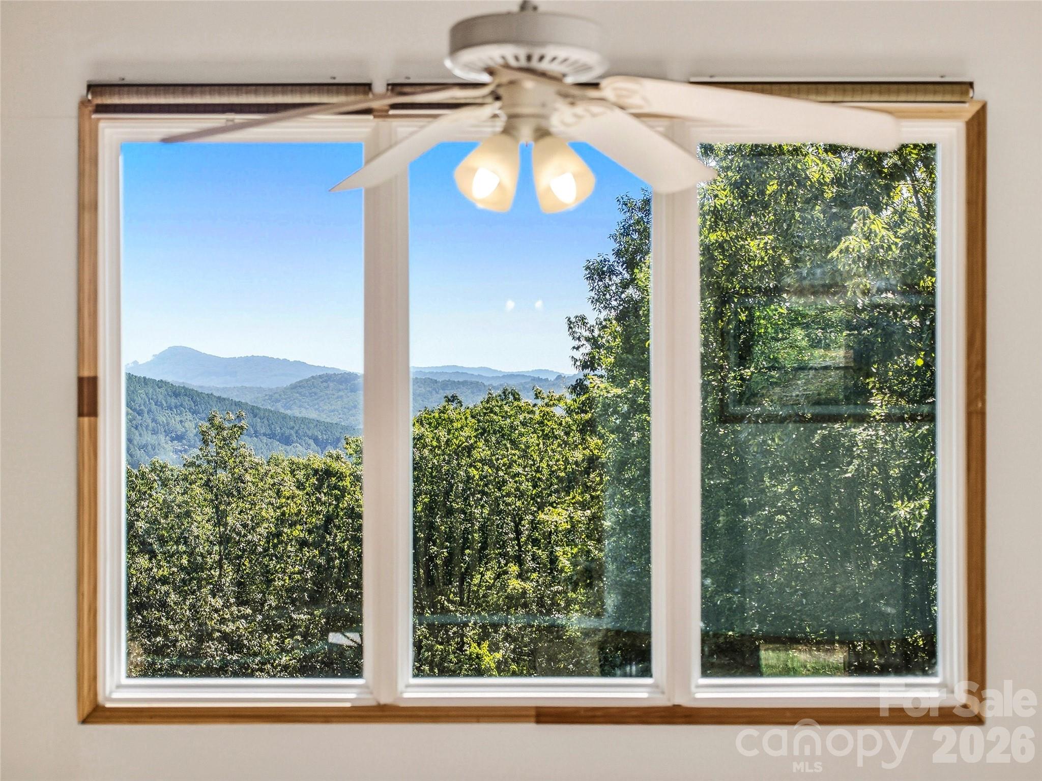 265 Idlewild Drive Property Photo 27