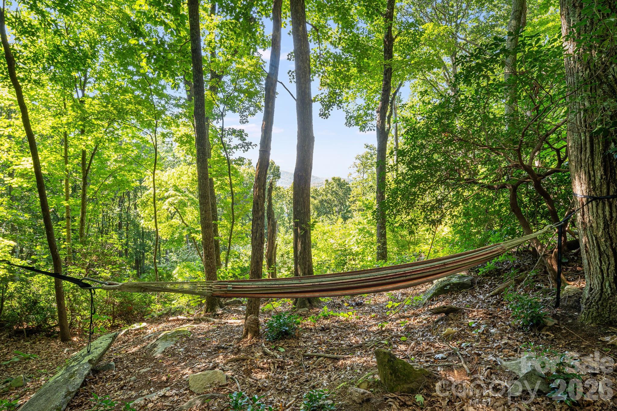 107 Copperhead Cove Property Photo 3