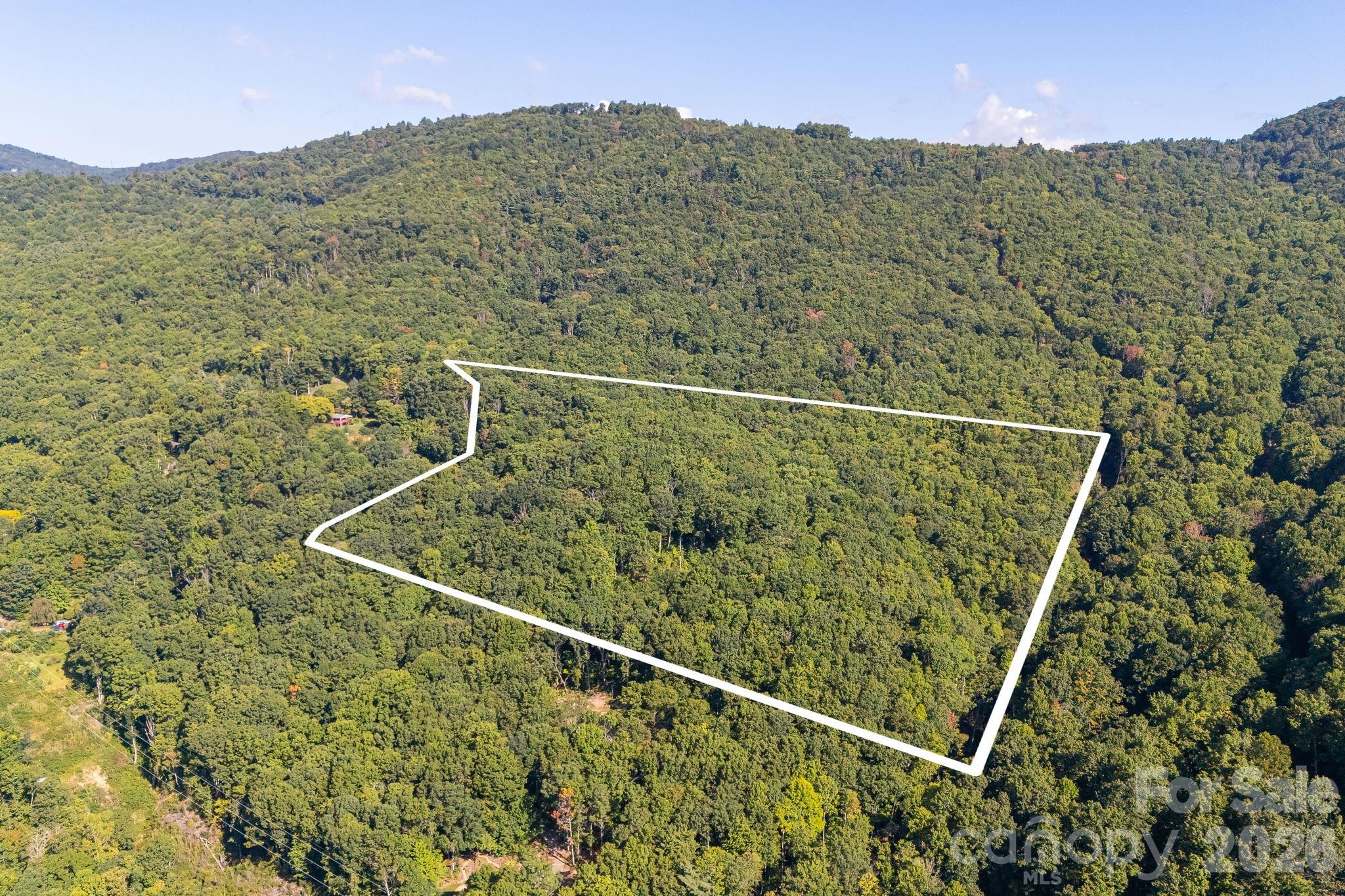 107 Copperhead Cove Property Photo 4
