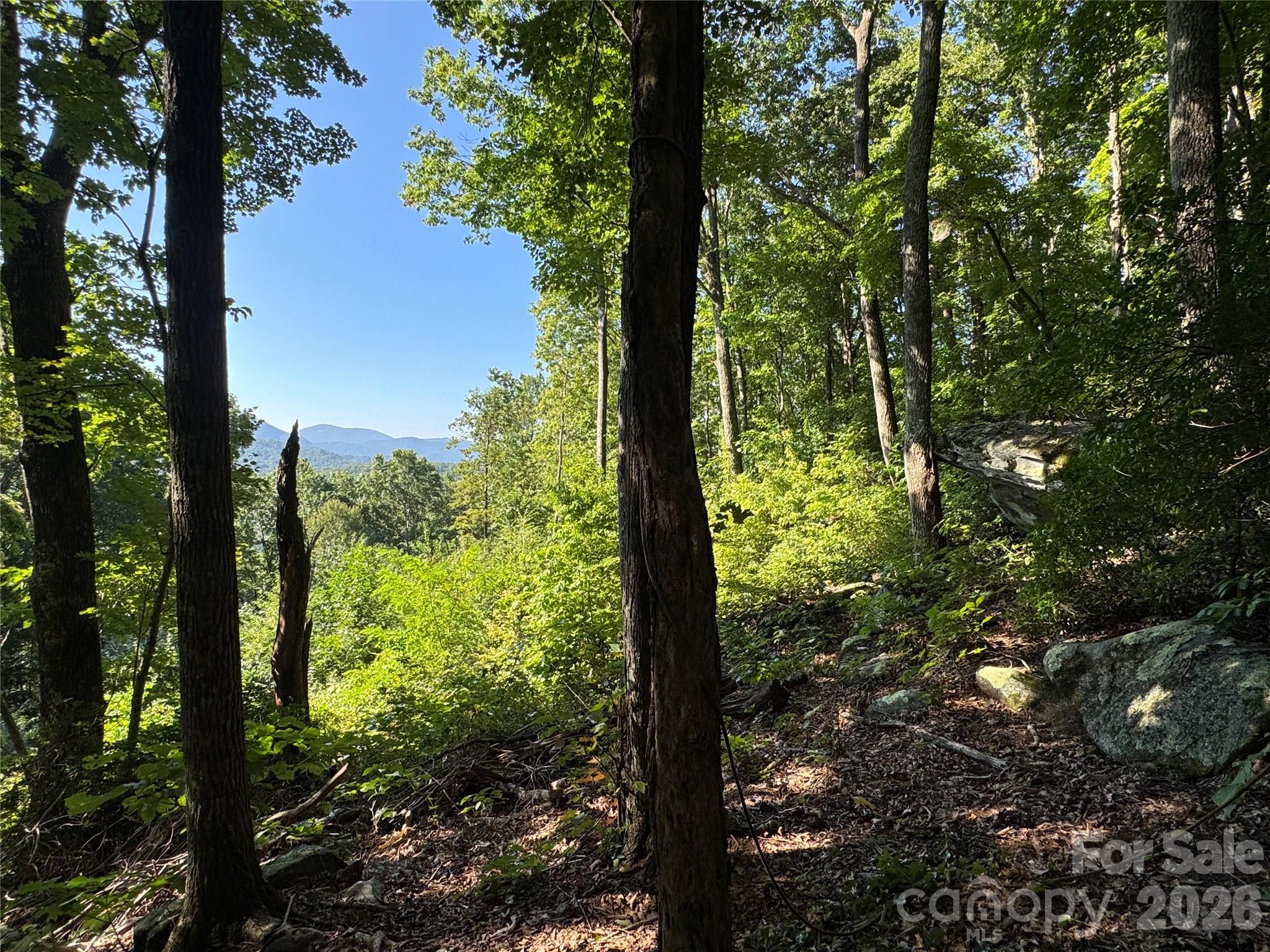 107 Copperhead Cove Property Photo 5